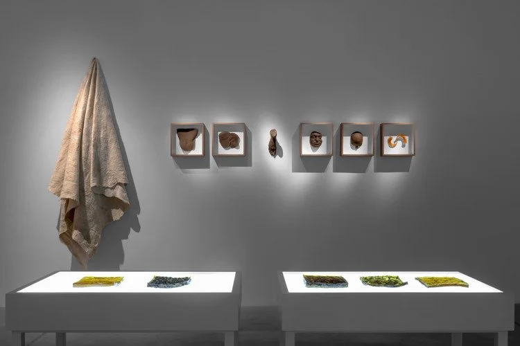 imgi_12_Adrian-Pepe_A-Shroud-as-a-Cloth--2025_Exhibition-view_-Photo-by-Liana-Mukhamedzianova_Courtesy-of-NIKA-Project-Space-011.jpg