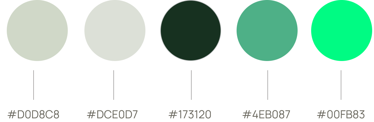 Five color swatches of varying shades of green, arranged from lightest to darkest, with hex color codes below each swatch.