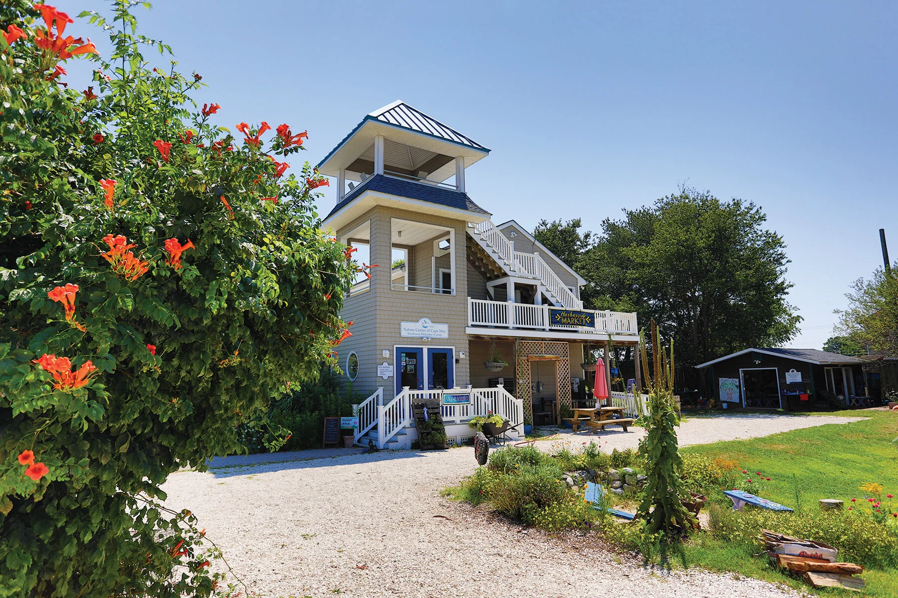 Nature Center of Cape May