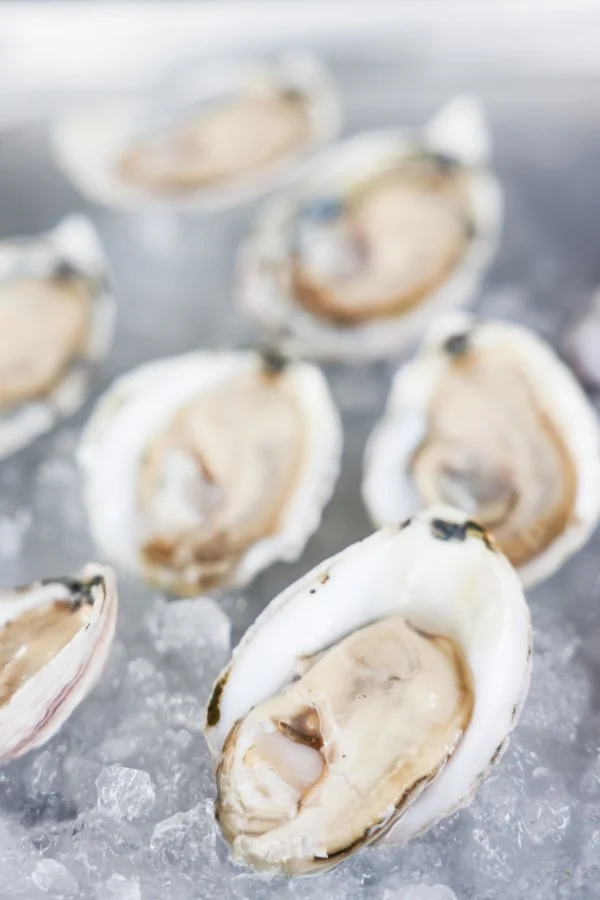 The Oyster Revolution