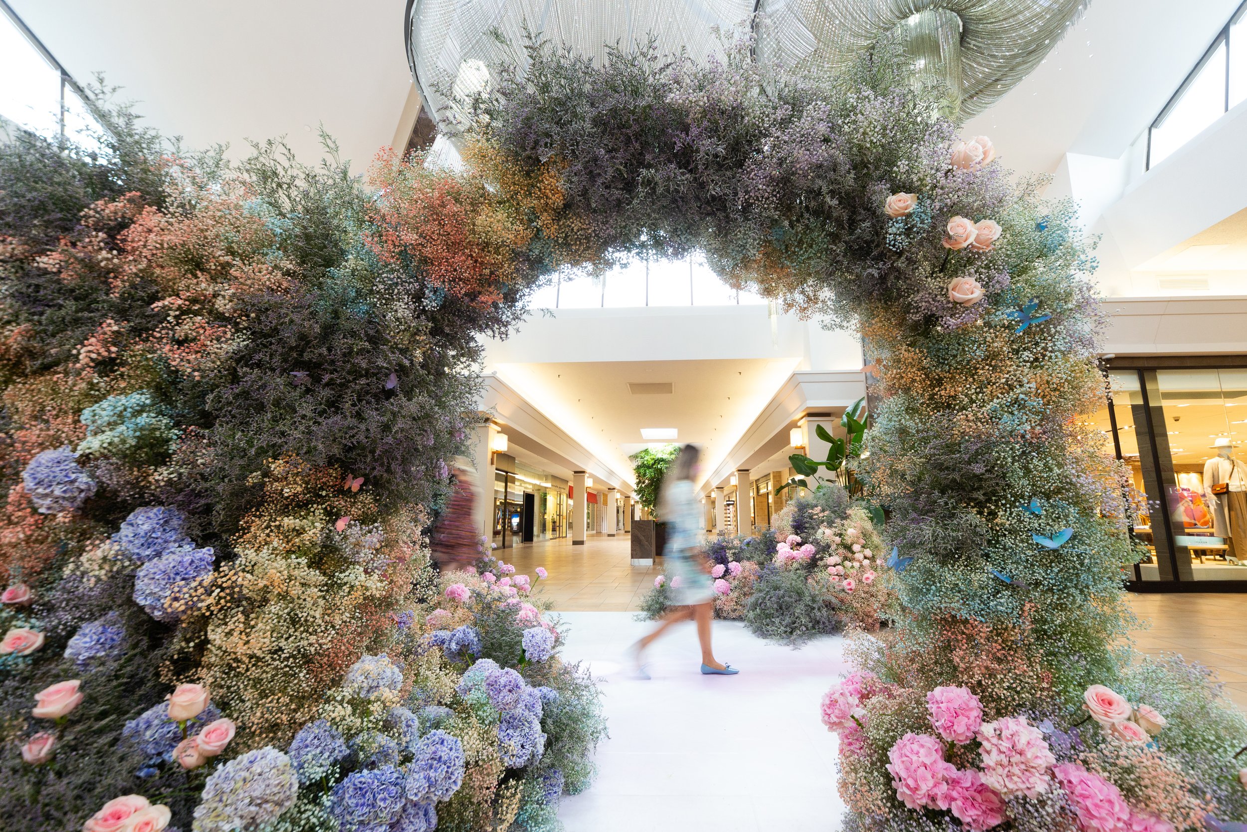 BV - Garden of Curiosities (6).jpg