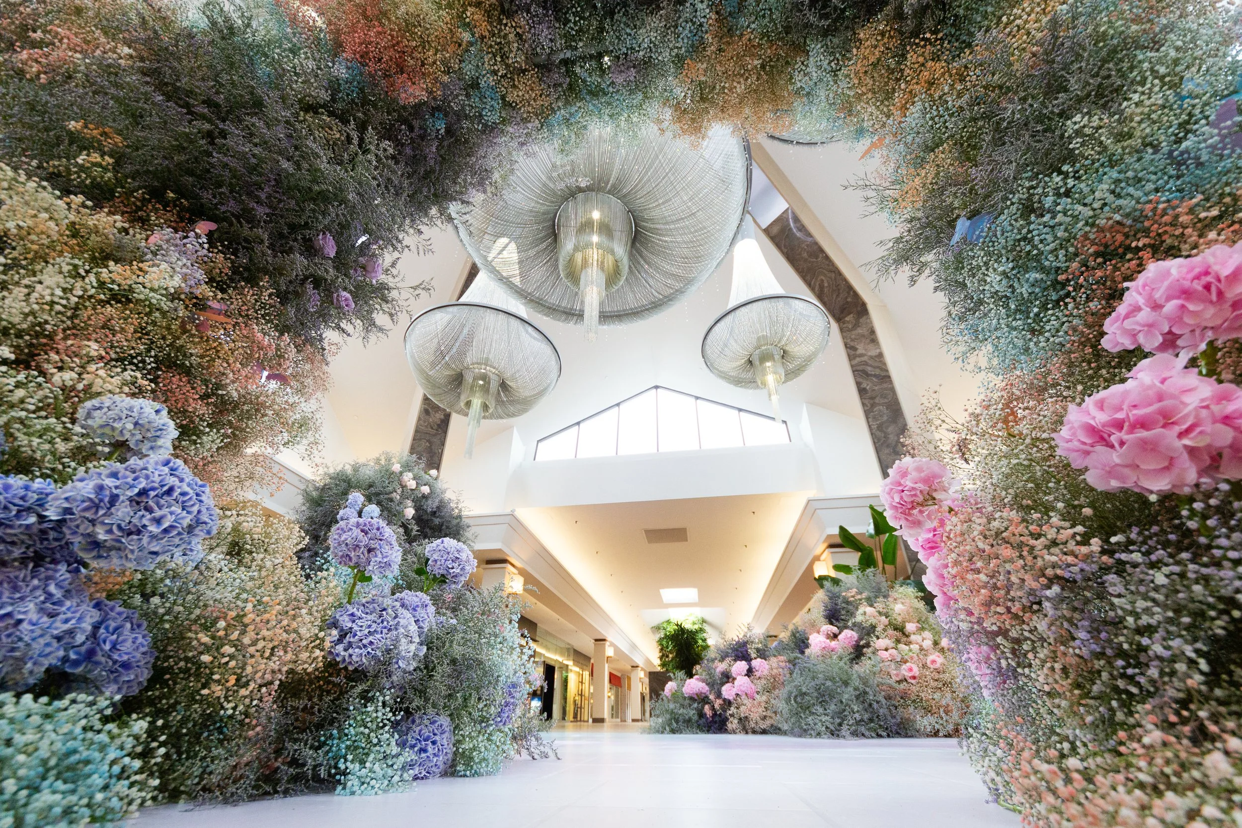 BV - Garden of Curiosities (2).jpg