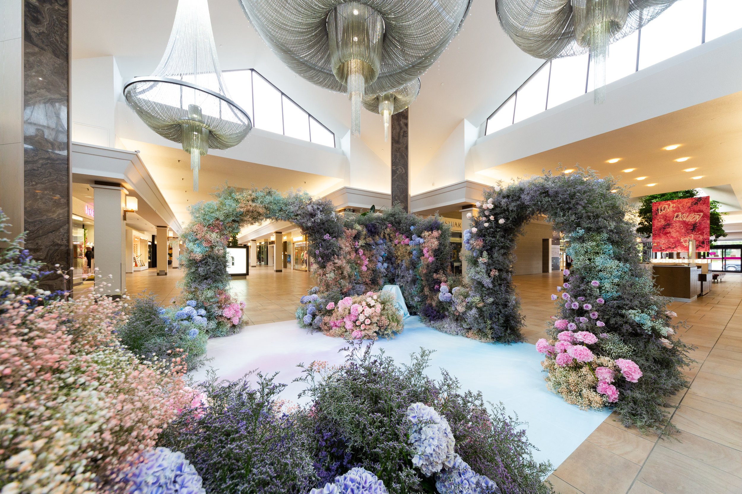 9.BV - Garden of Curiosities (3).jpg