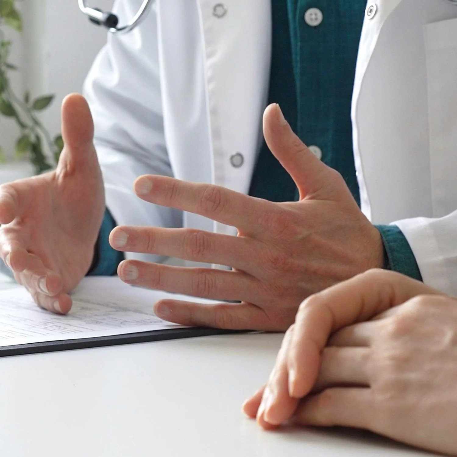 6-Month Subscription