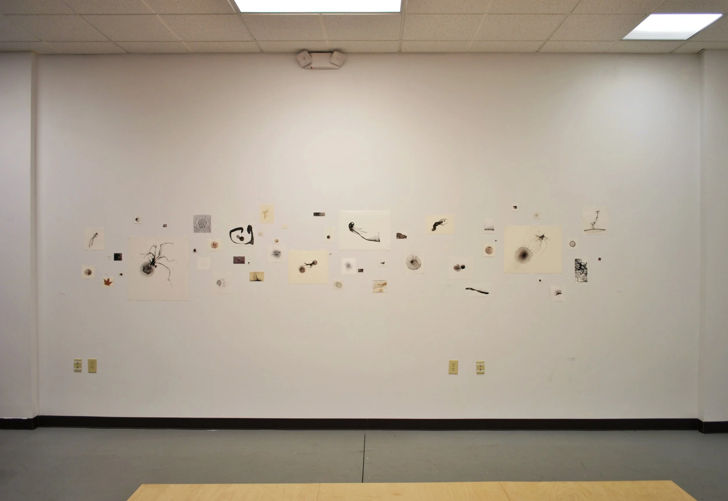 shows_2009InTheOverlap_DSC_0106.jpg