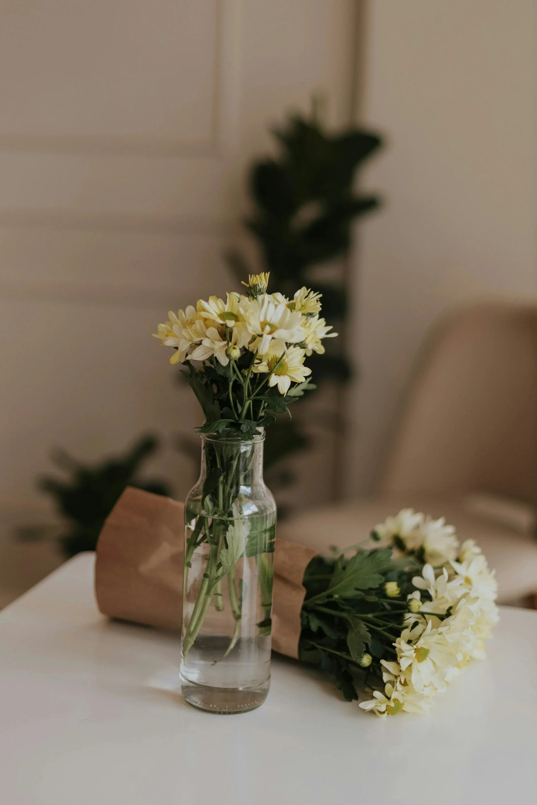 A clear glass bottle with water holding a bouquet of white daisies, placed on a white surface, with a second bouquet wrapped in brown paper lying next to it.