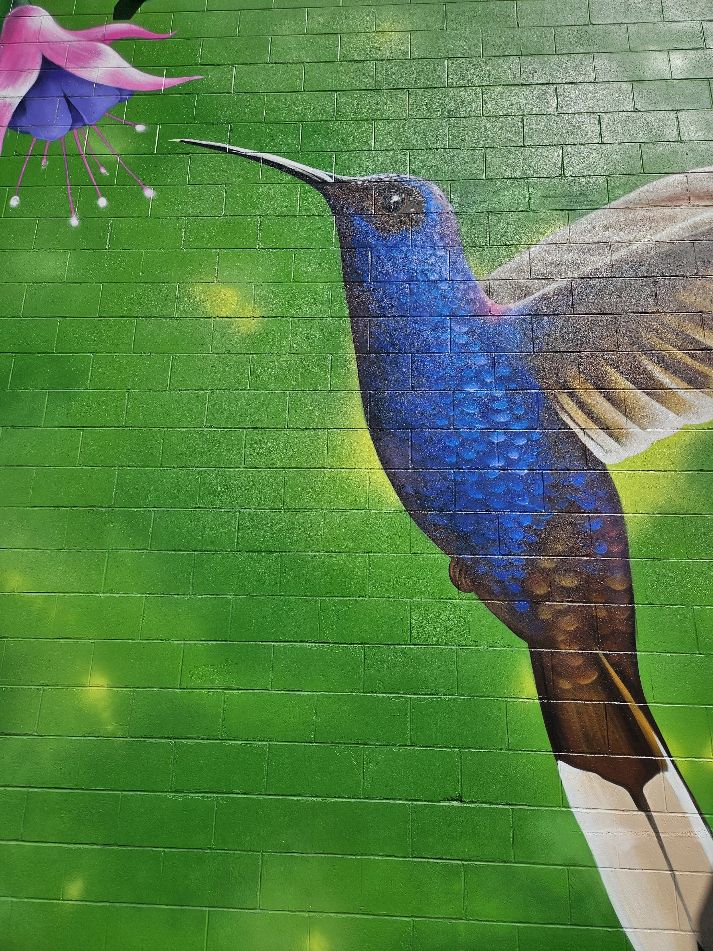 A colorful mural of a hummingbird feeding from a flower on a green brick wall.