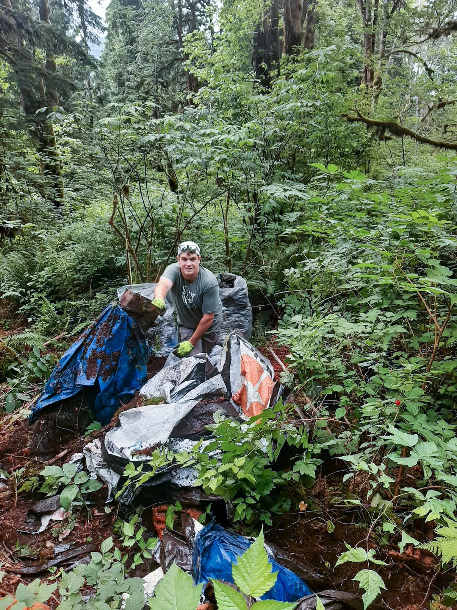 A person in a gray shirt and gloves arranging trash and debris in a forested area with dense green foliage and tall trees.
