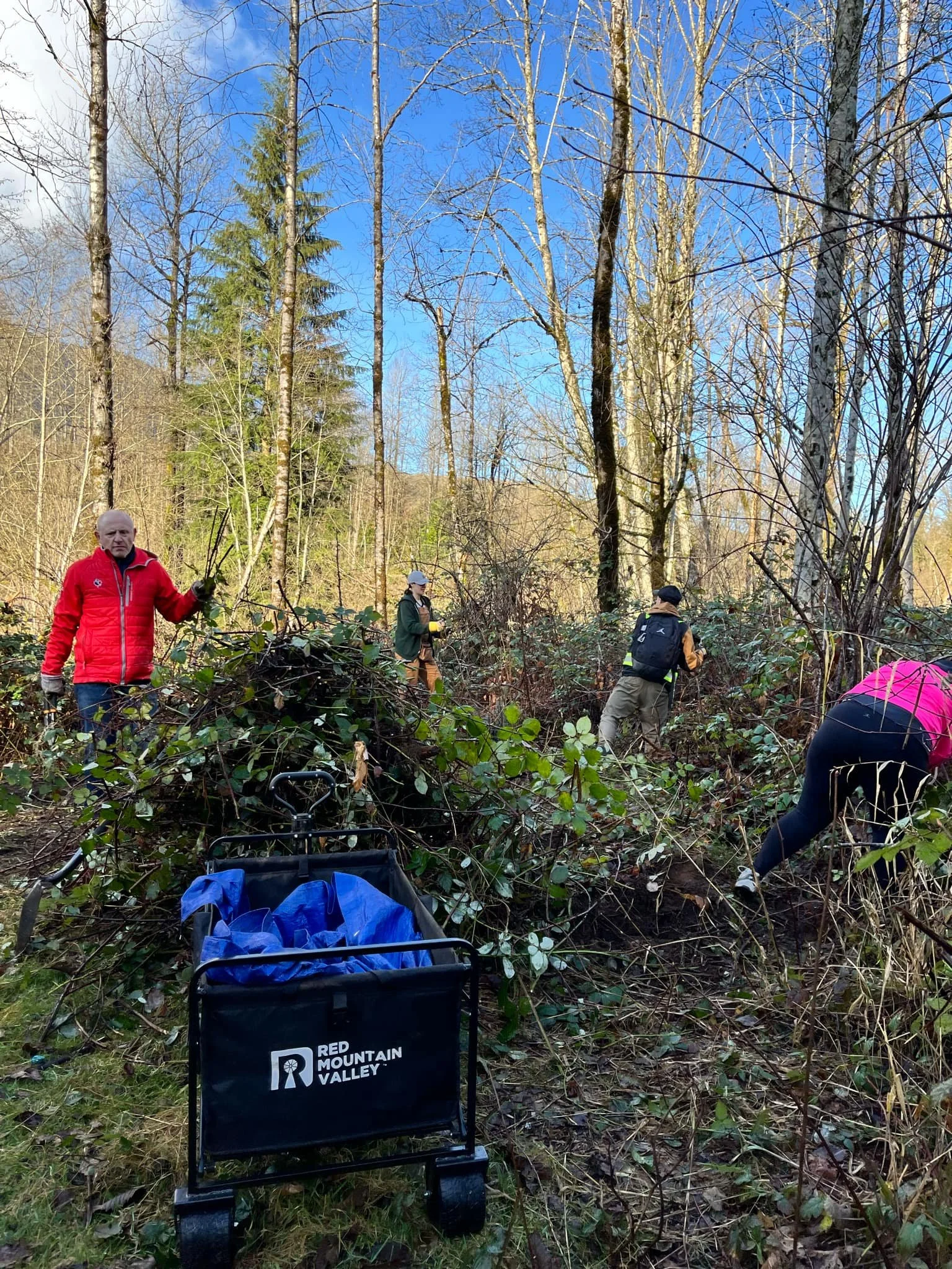 People clearing a forest trail with a wagon labeled 'Red Mountain Valley' under a blue sky with tall trees.