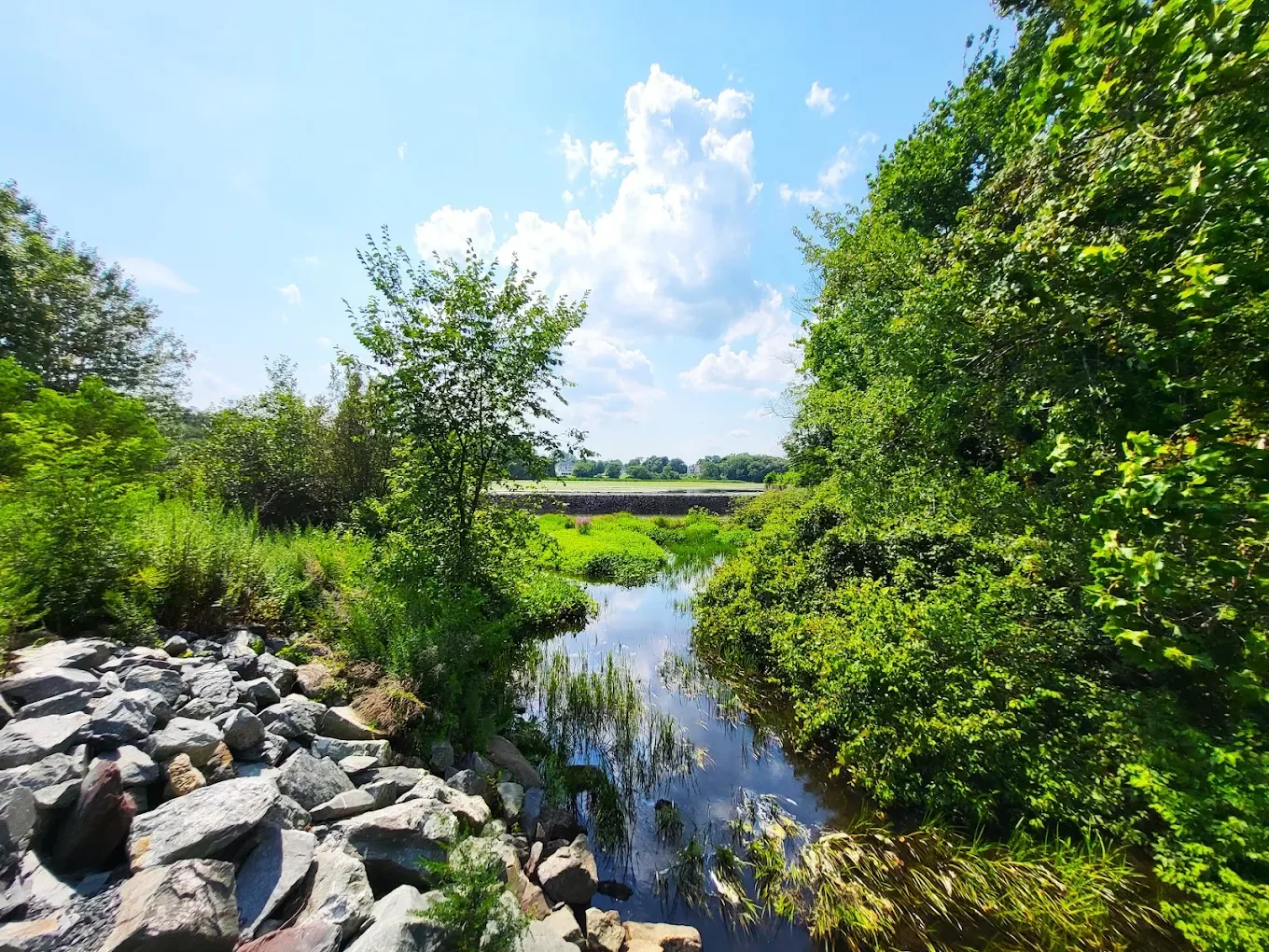 rehoboth-ma-natural-landscape-stream-woodlands.webp