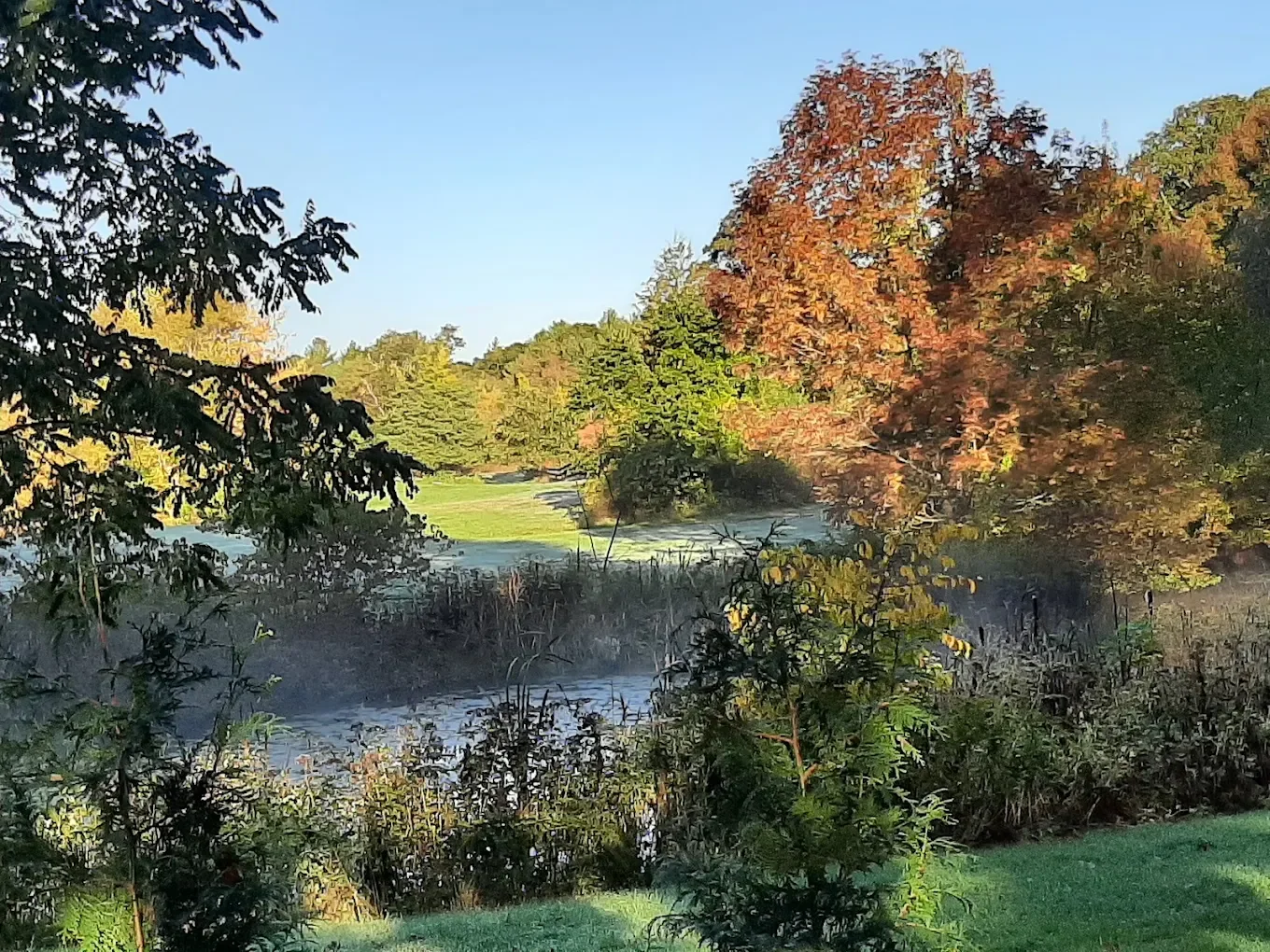 rehoboth-ma-open-acreage-mature-trees.webp