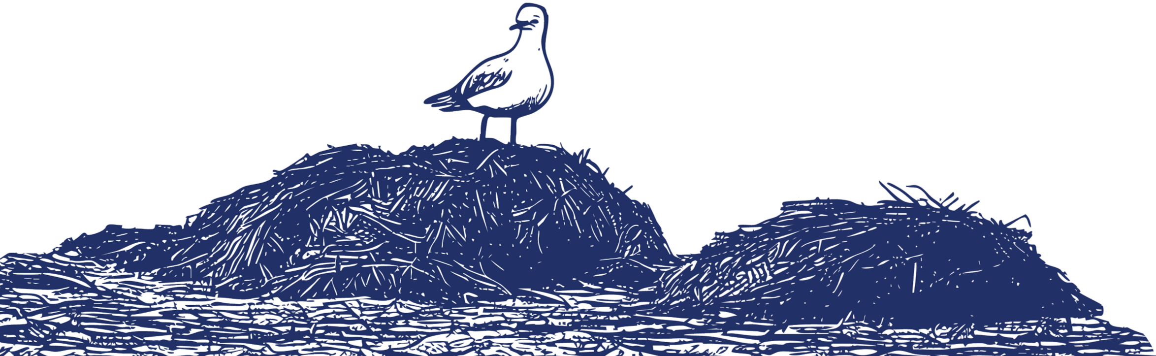 A bird standing on top of a pile of seaweed.