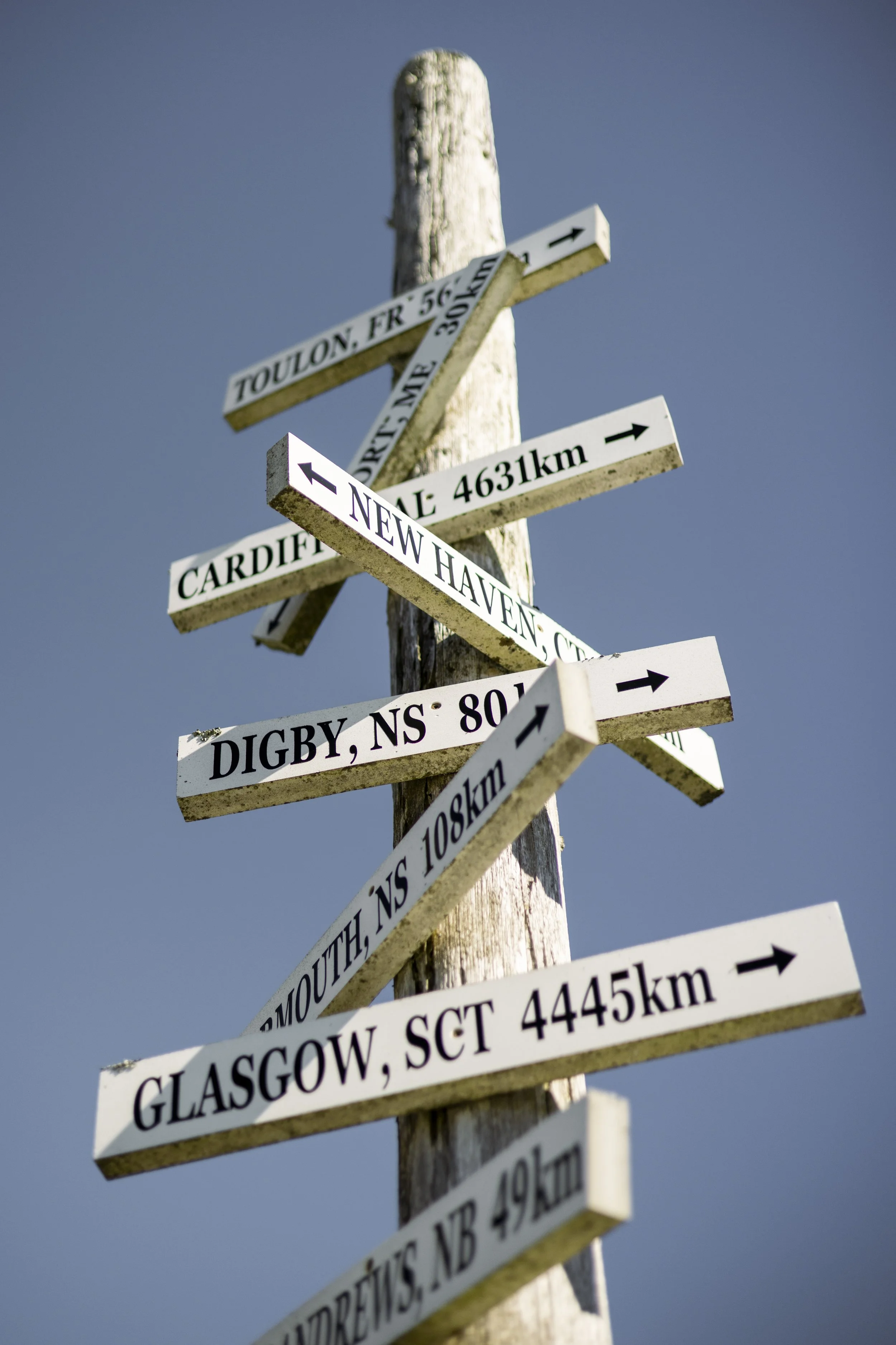 Signpost with multiple directional signs pointing to cities and distances in kilometers, including New Haven, Cardiff, Digby, and Glasgow, mounted on a weathered wooden pole against a blue sky.