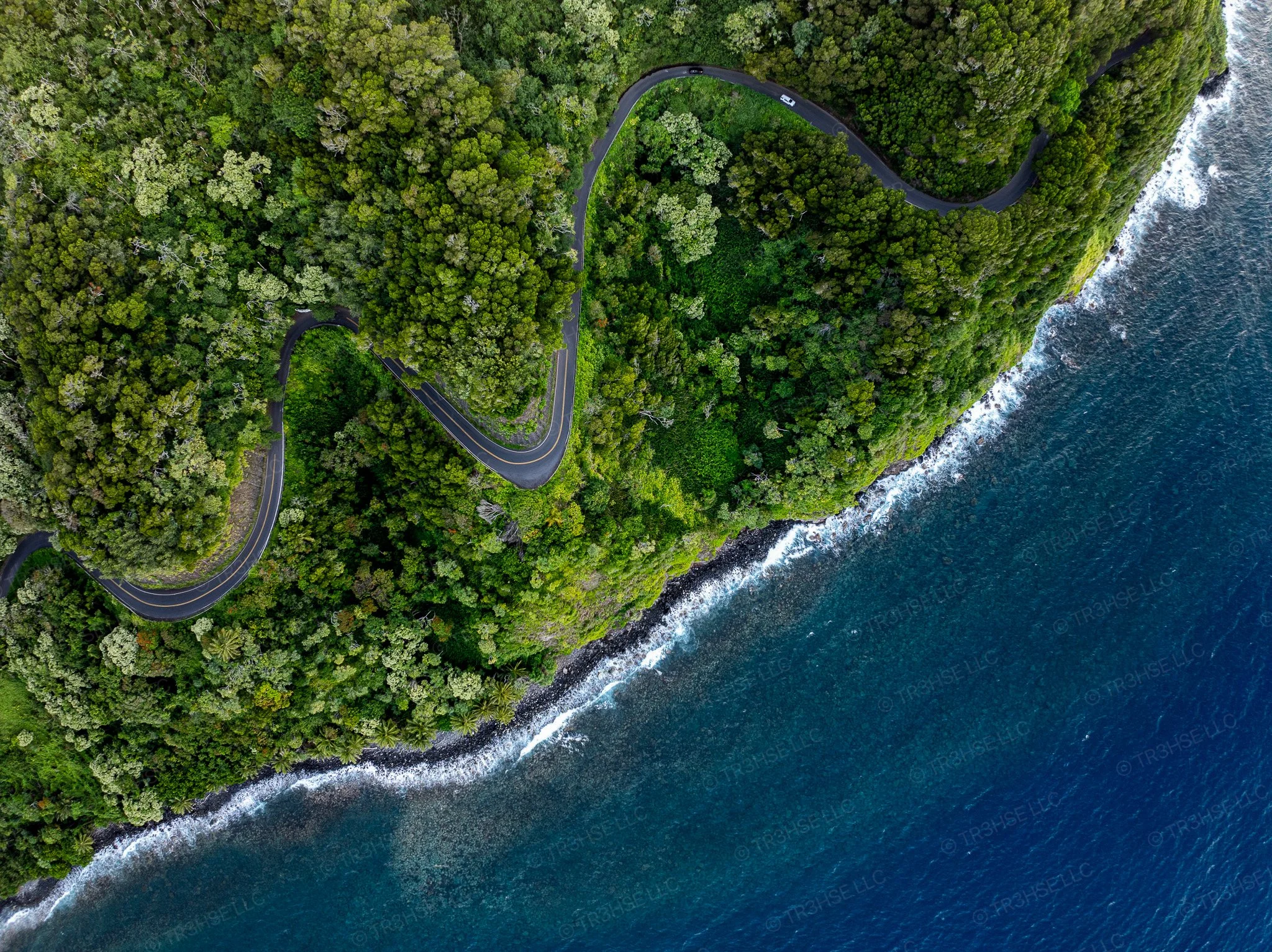 Top-down drone image showing ocean on the bottom right and land on the top left with a winding along the ocean edge.