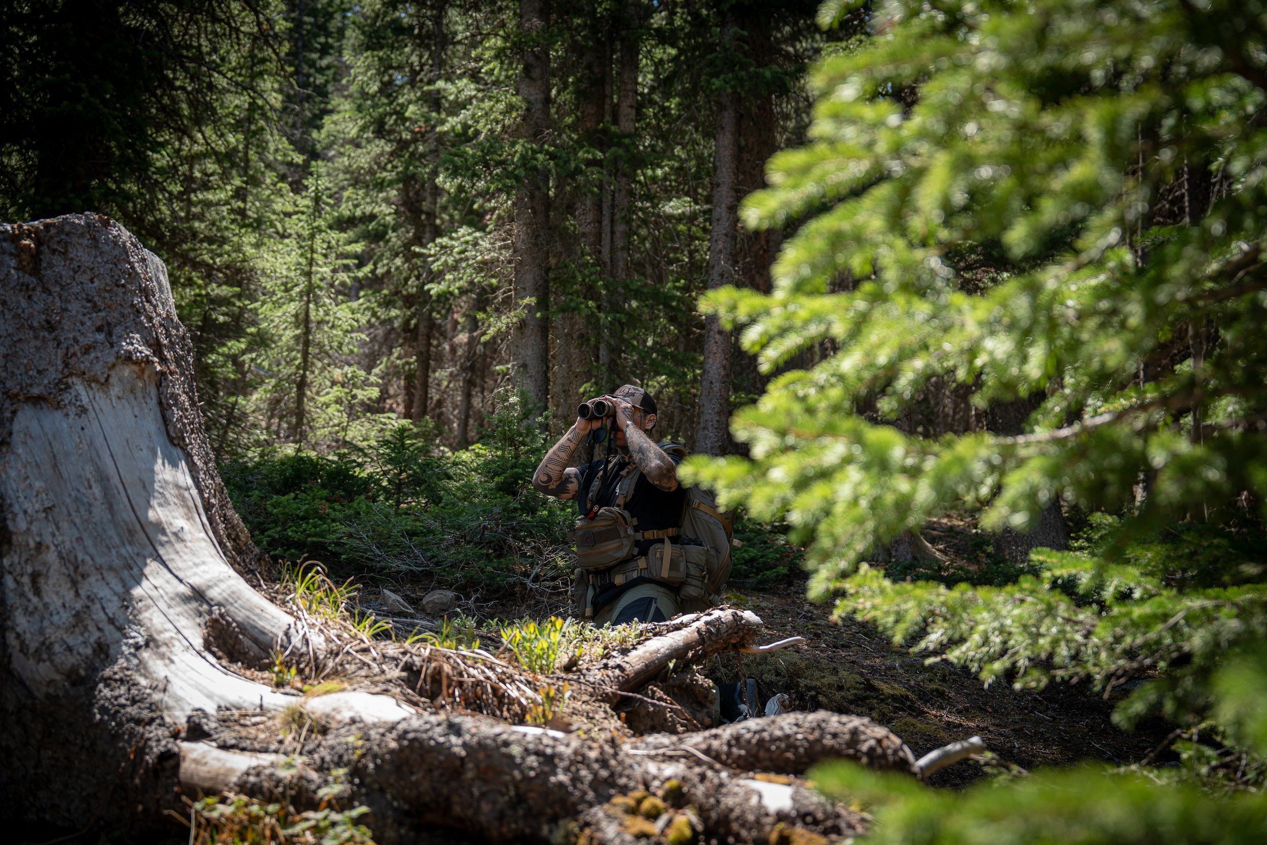 A person with tattoos on their arms, wearing outdoor gear and a hat, looking through binoculars in a forest surrounded by tall trees and green foliage.