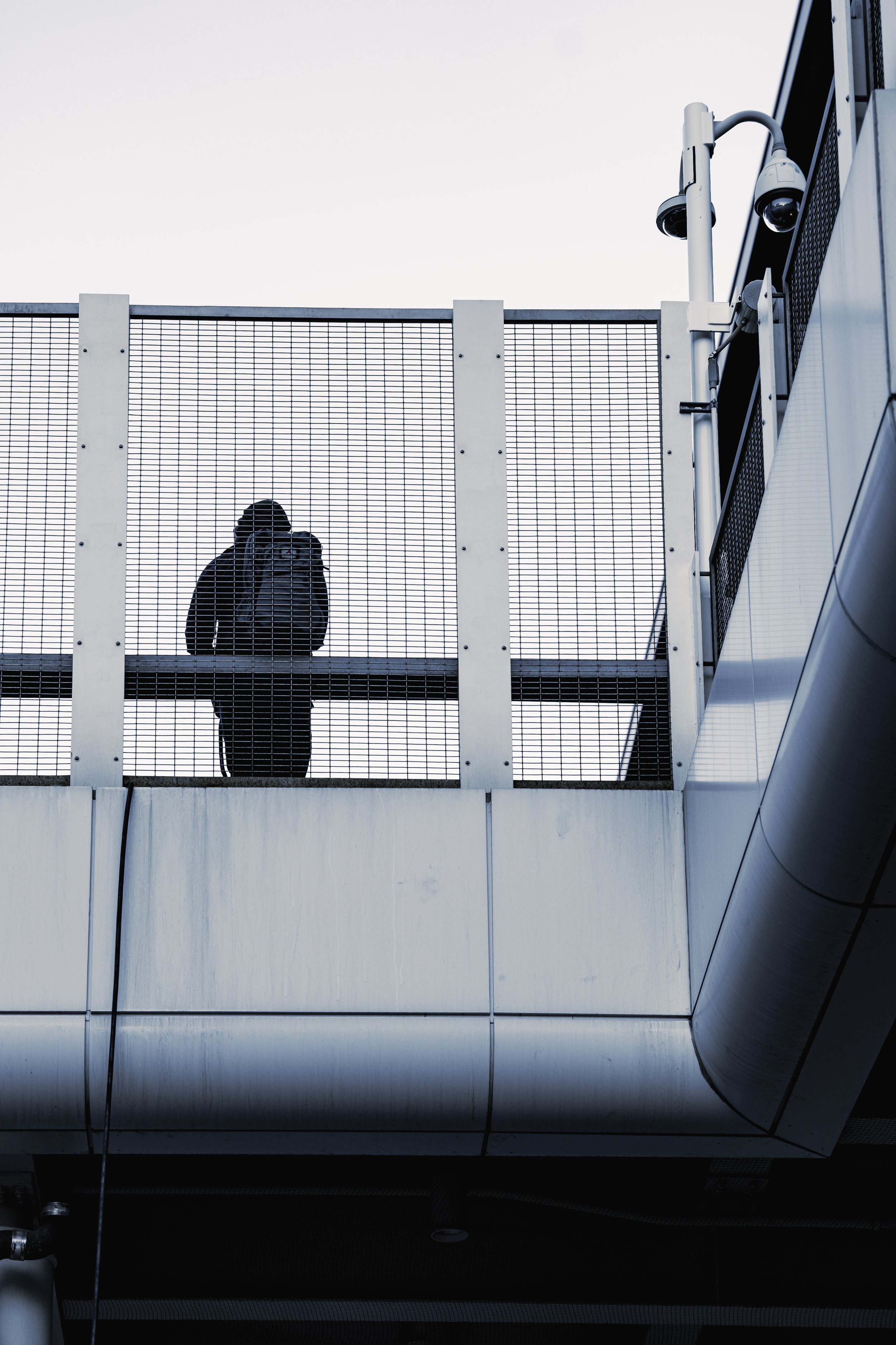 Silhouette of a person with a backpack, taking a photo, standing behind a metal fence on an elevated walkway against a cloudy sky.