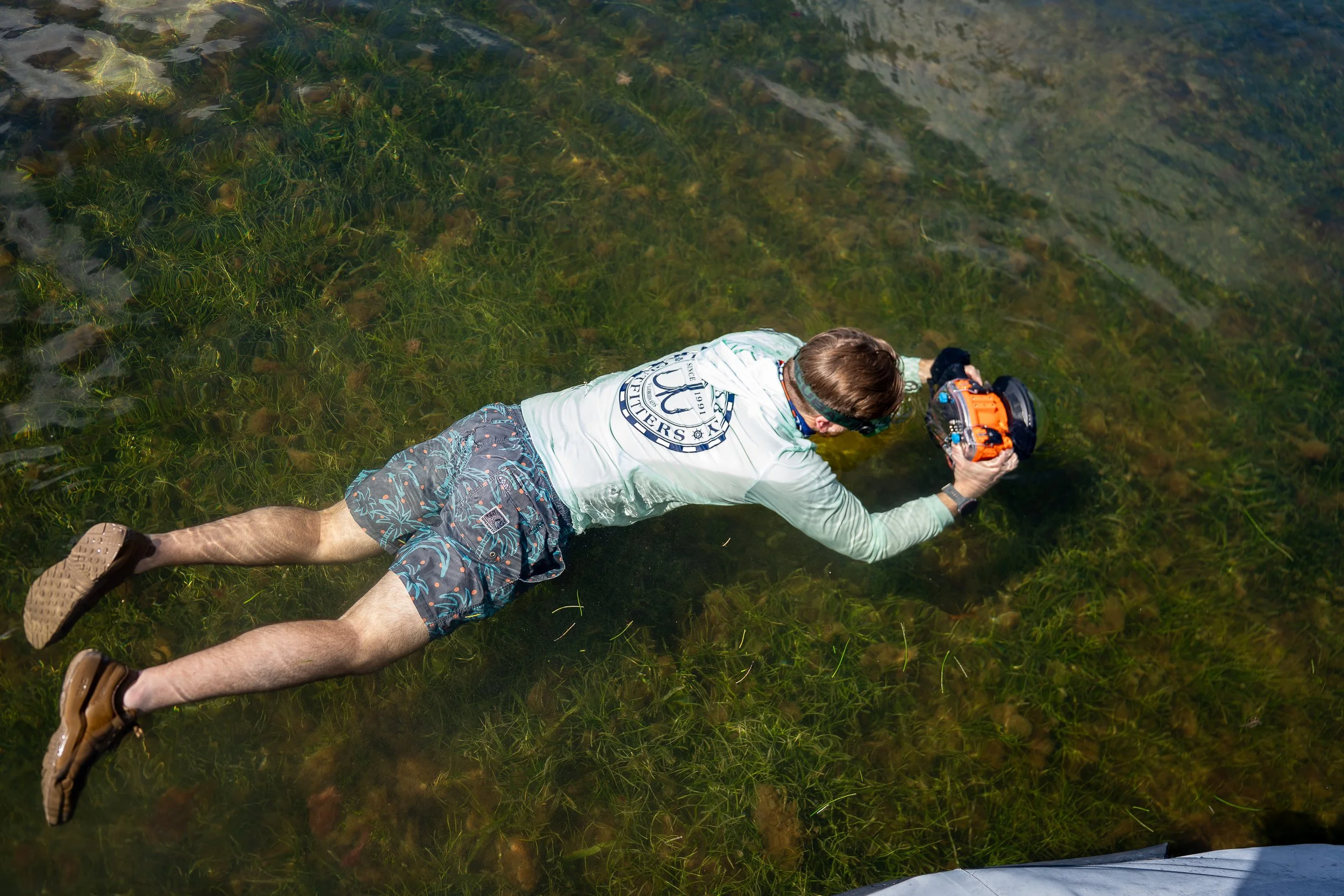 A man lying face down in a shallow body of water, capturing photos with a camera. He is wearing sunglasses, a white long-sleeve shirt, camouflage shorts, and brown shoes, and has a goatee and brown hair. The water is clear, showing green aquatic plan