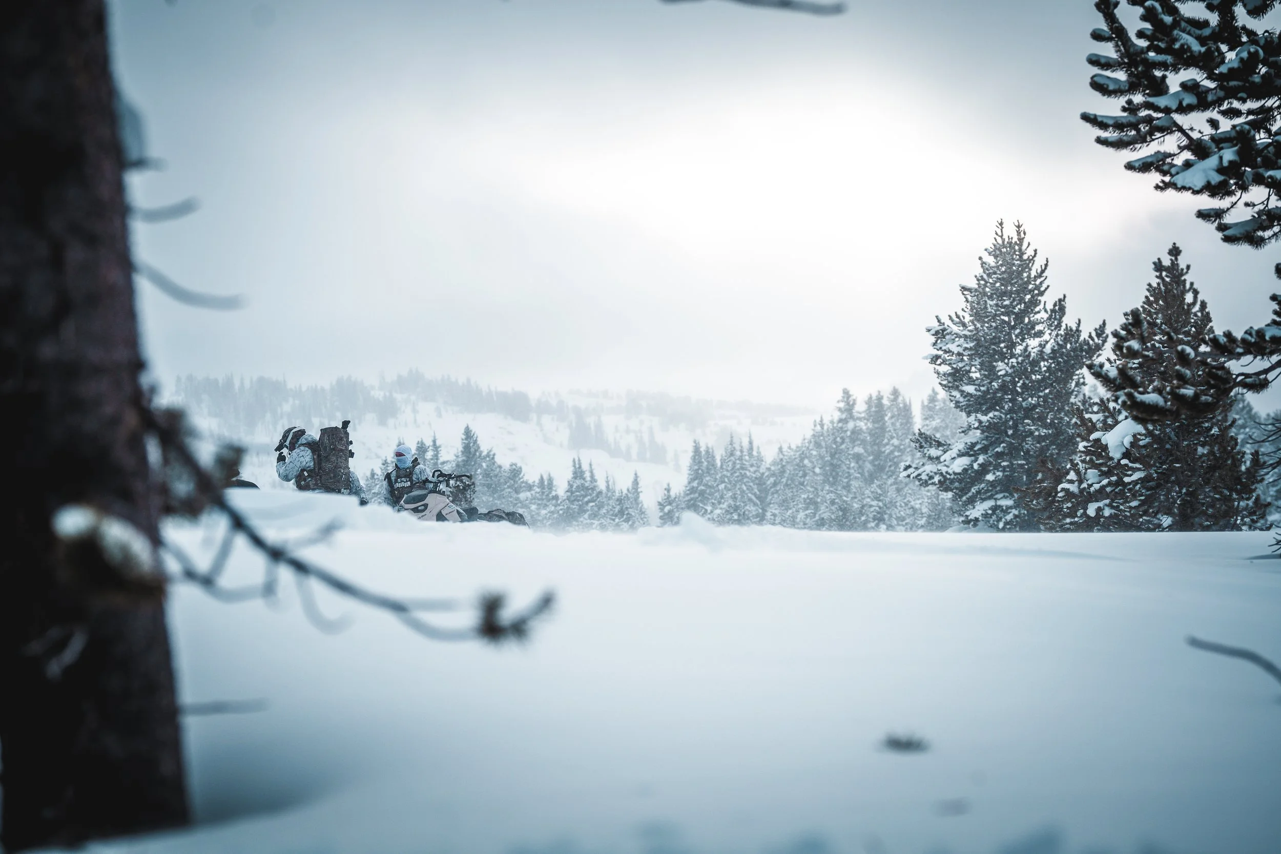 Two people on snowmobiles in a snowy forest with pine trees, viewed through a tree branch in the foreground.