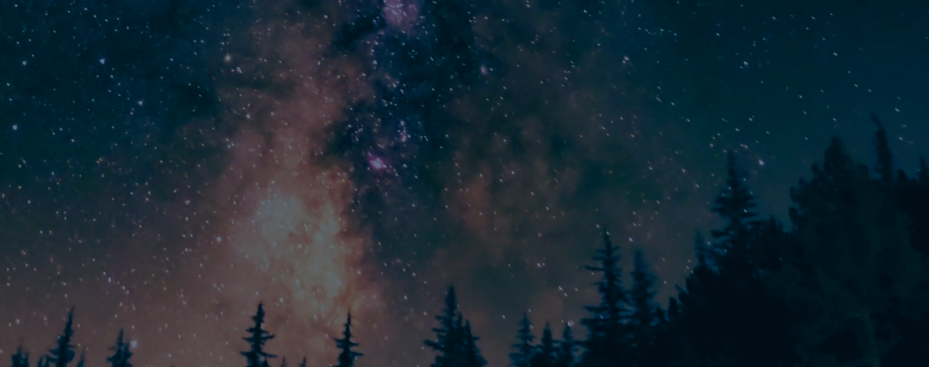 screenshot-caribou-kale-m5j5-squarespace-com-2026-01-16-14-32-01.png