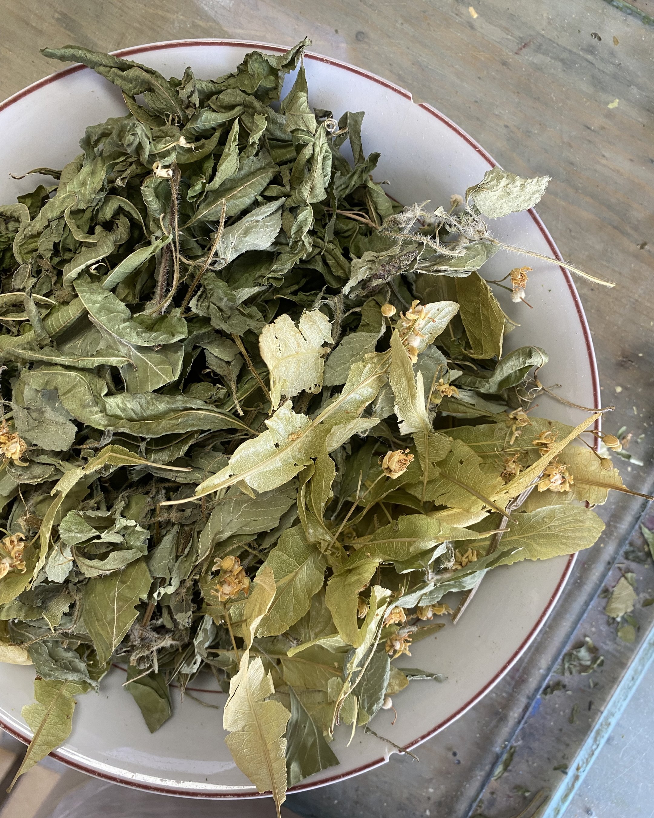 Infusion détente plaisir Hestia Bio