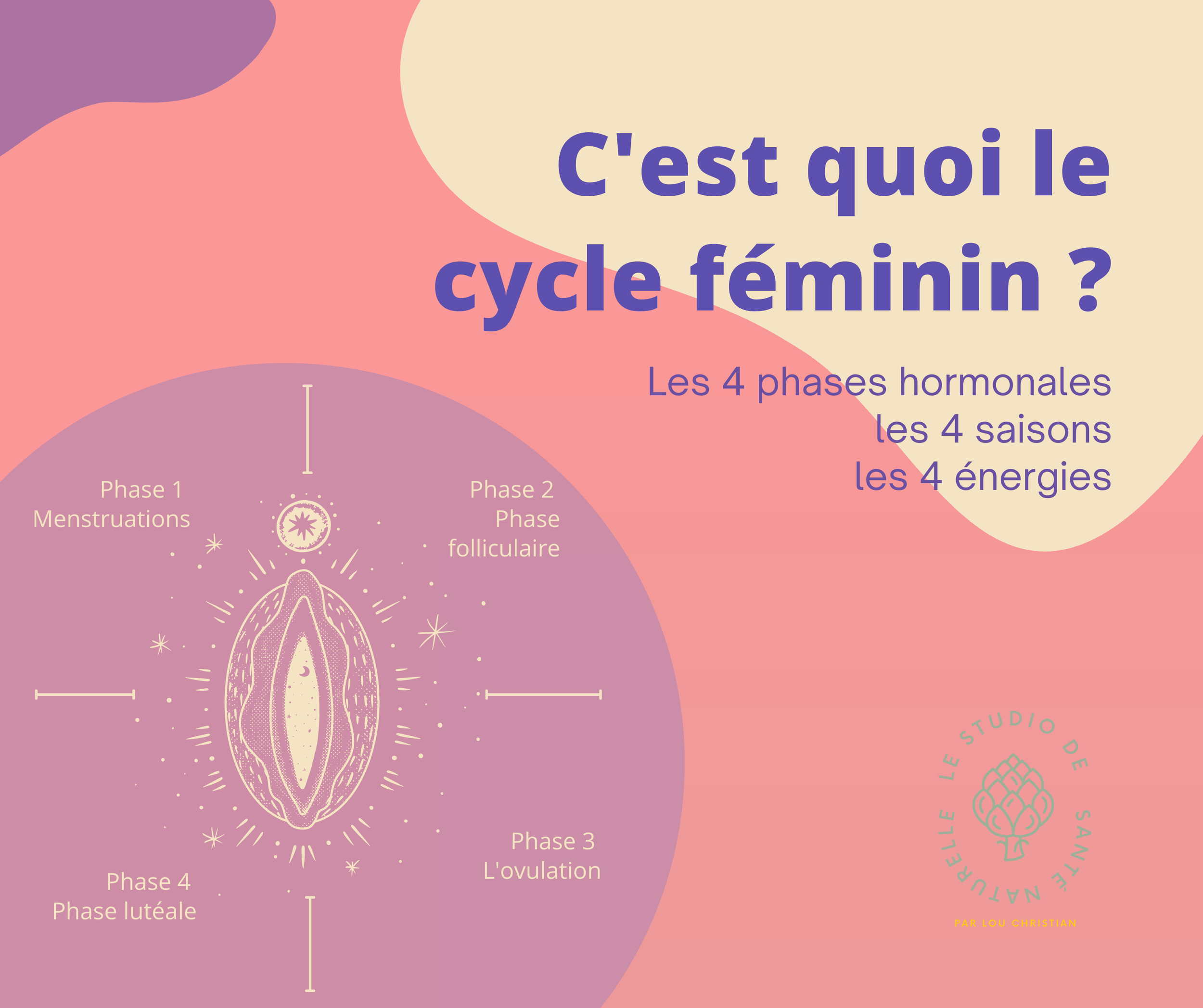 Les 4 temps du cycle menstruel