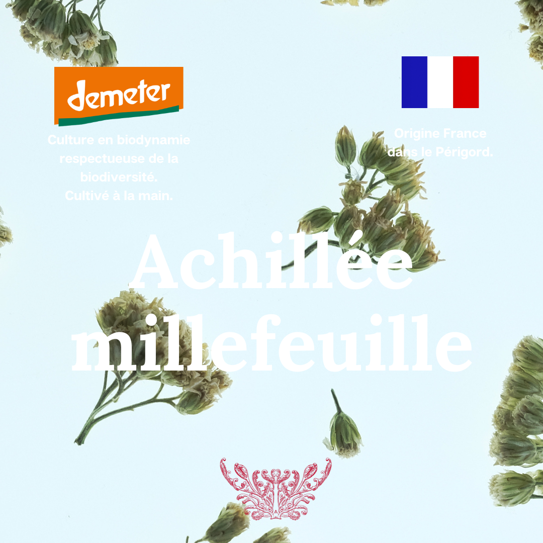 Phytothérapie 1.01-32.png