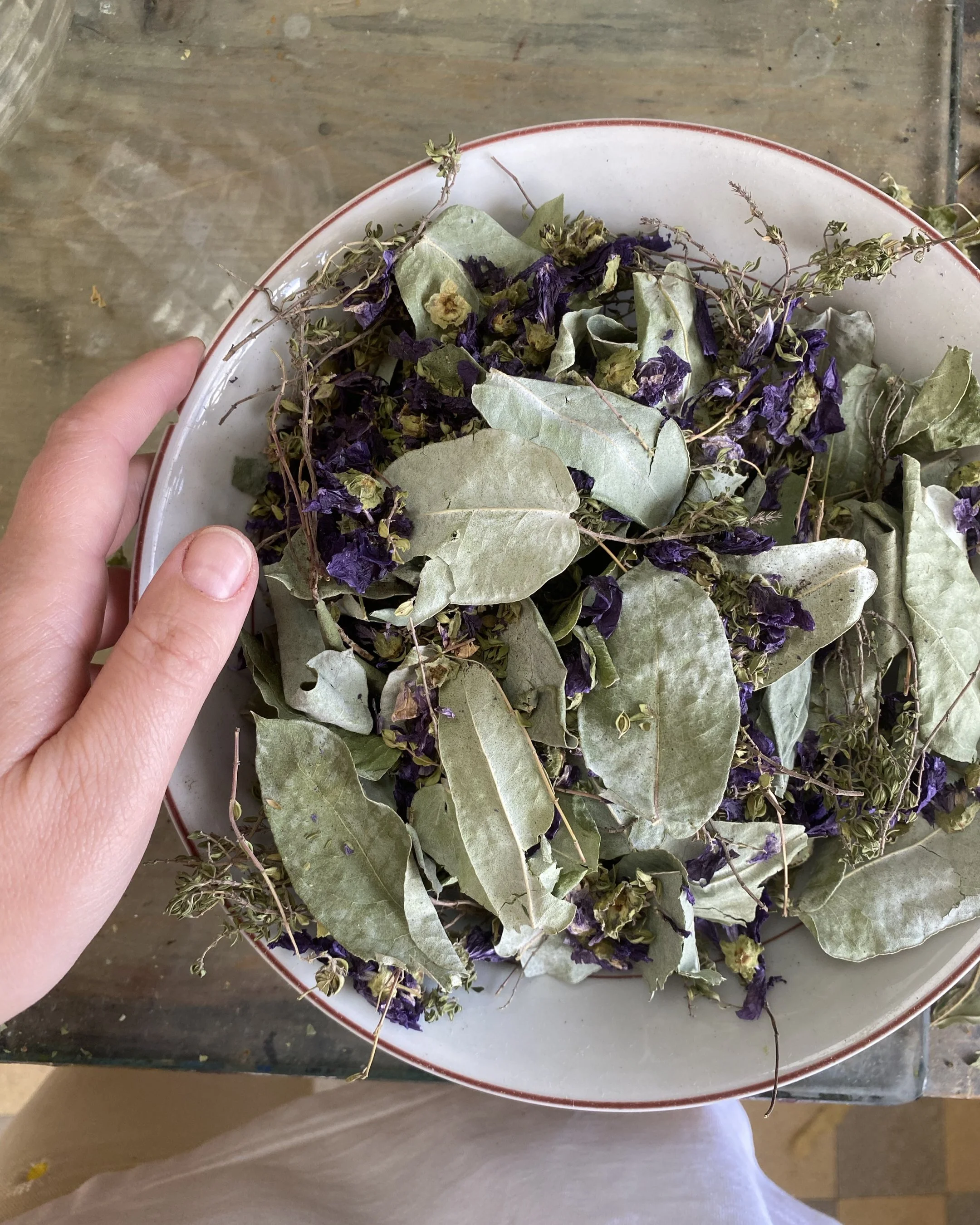 Infusion soin Hiver Demeter Bio