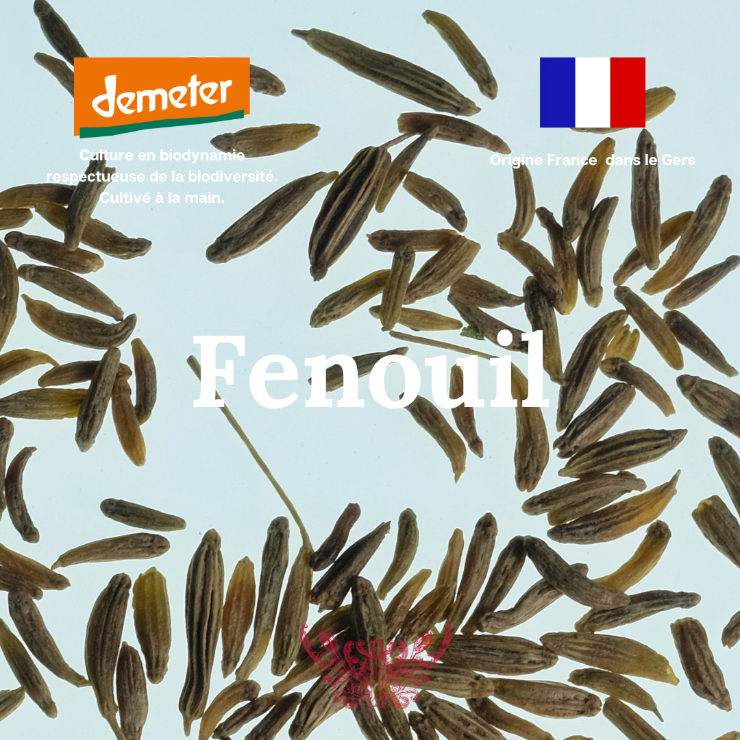 Phytothérapie 1.01-17.png