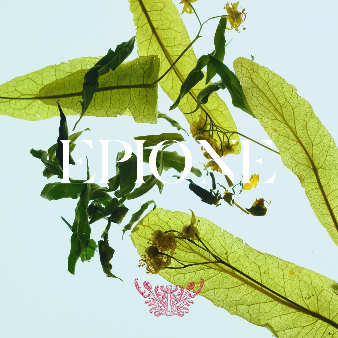 Phytothérapie 1.01-48.png