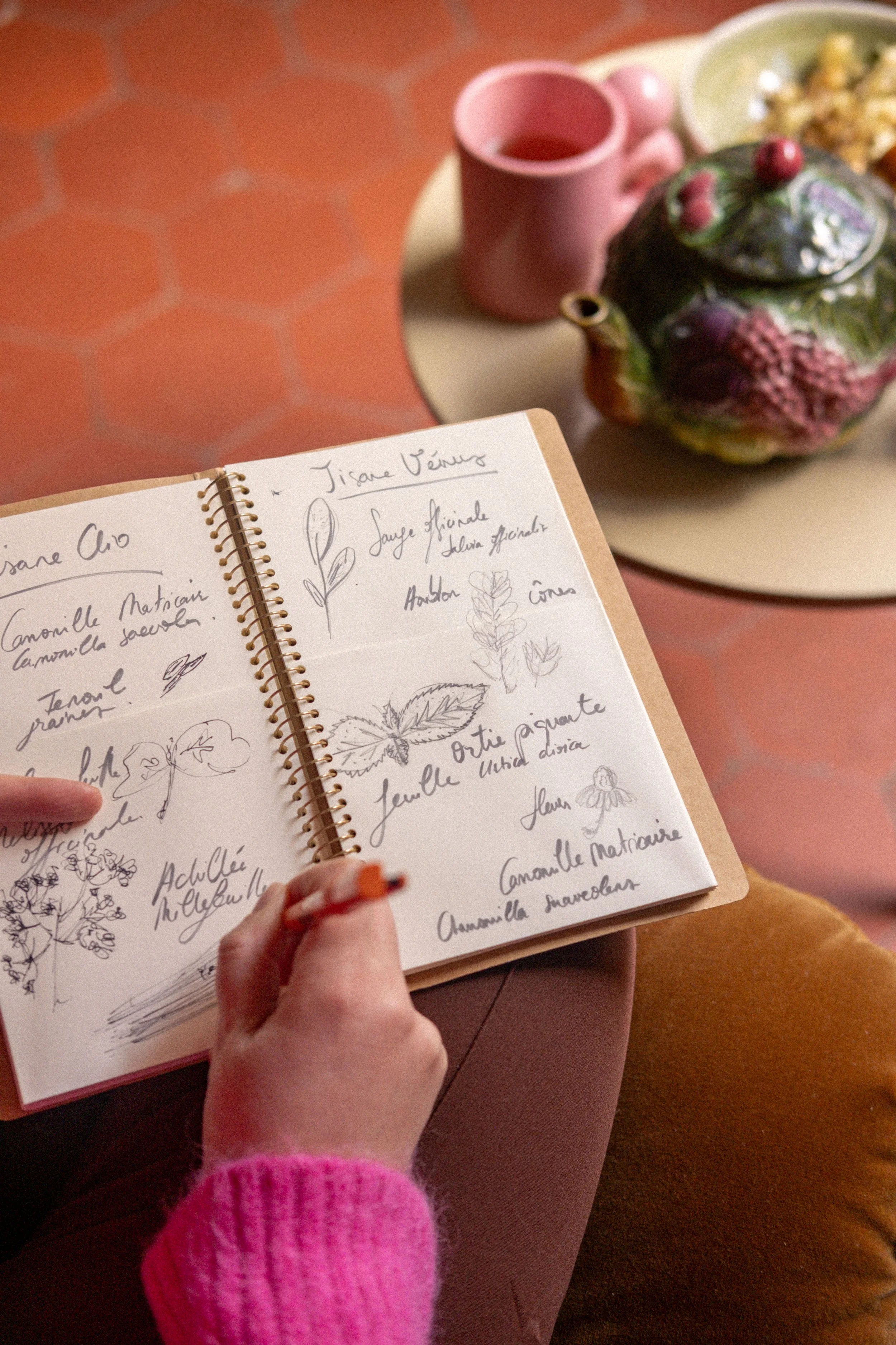 Une personne écrit des notes et des croquis de plantes dans un carnet avec une couverture en cuir. Sur la table, il y a une théière colorée, une tasse rose, une assiette avec de la nourriture et un autre plat visible partiellement.