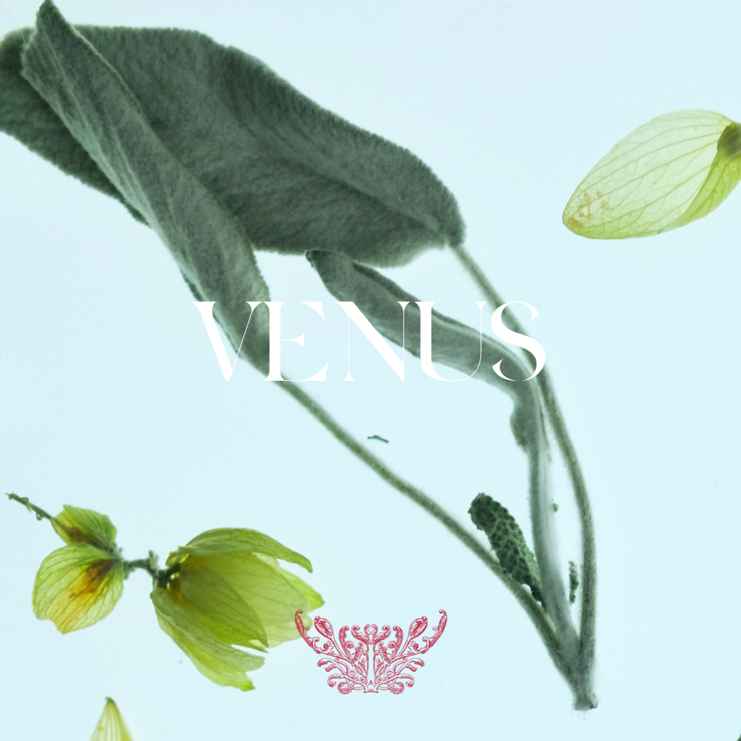 Phytothérapie 1.01-8.png