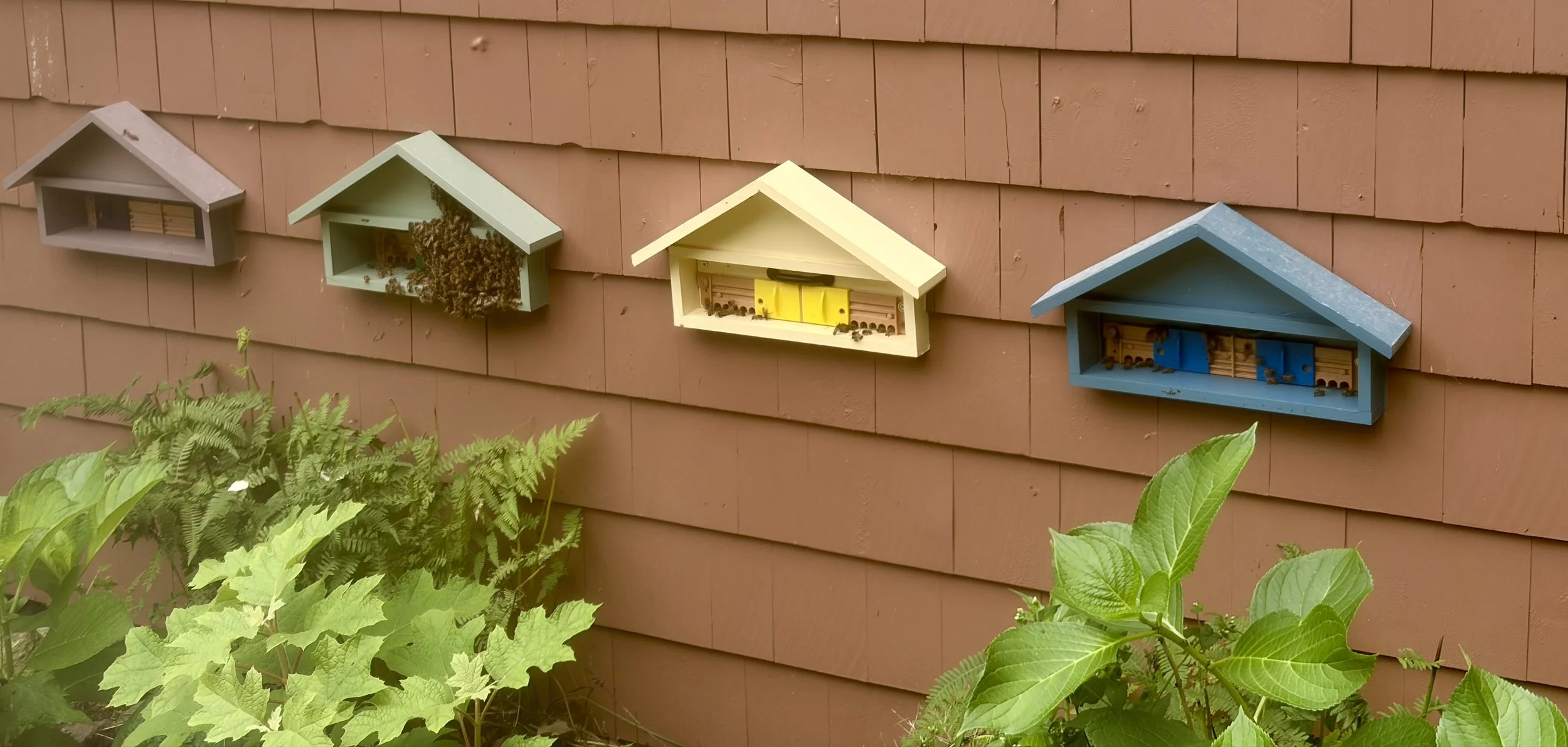 Four decorative birdhouses mounted on a brown exterior wall surrounded by green foliage.