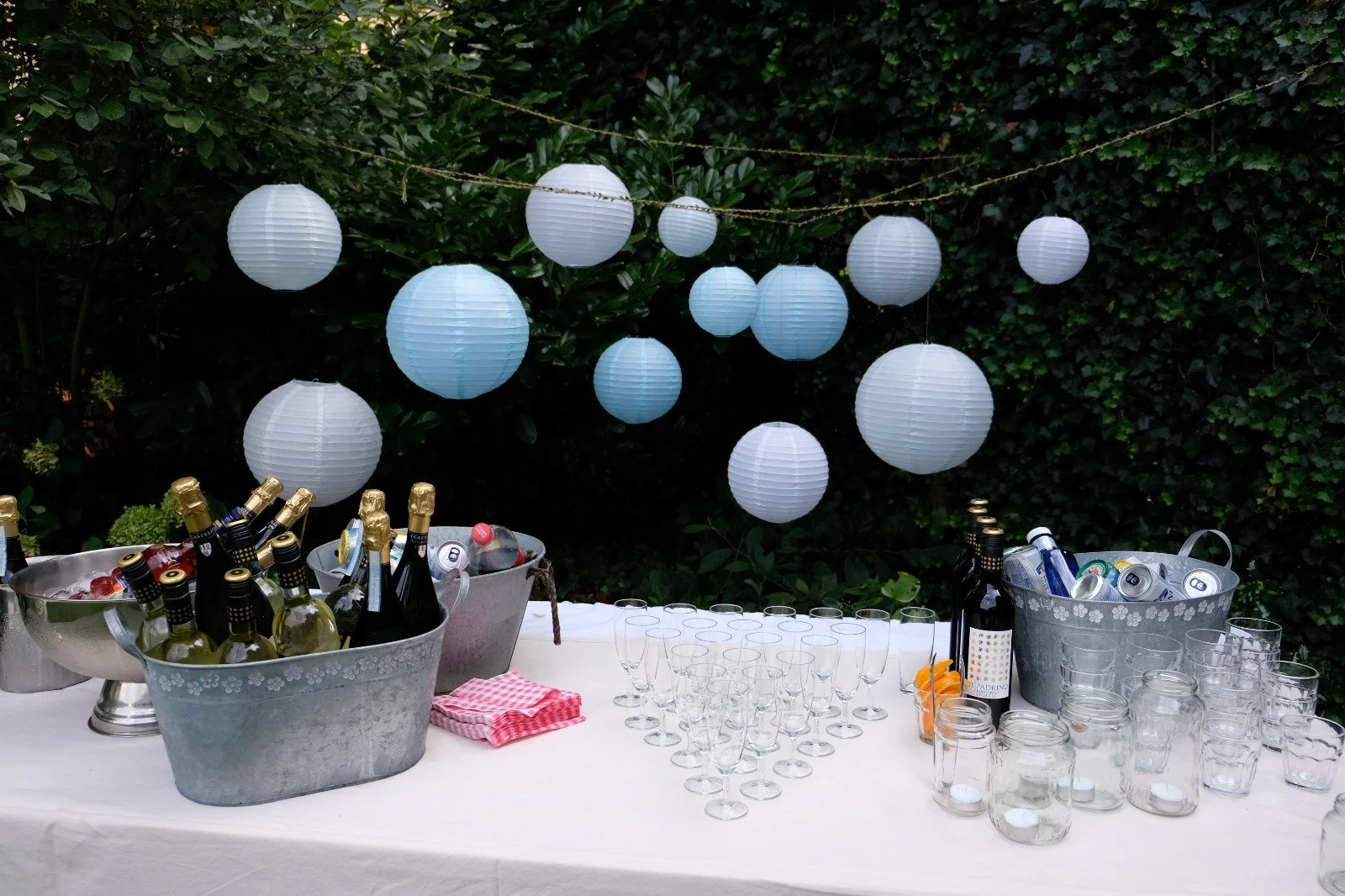 21e46a9b-ba5c-4255-9cb5-23f972c373b3 2.JPG