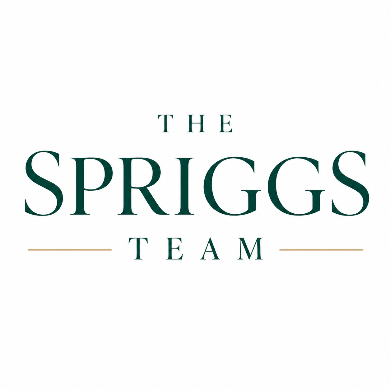 The Spriggs Team