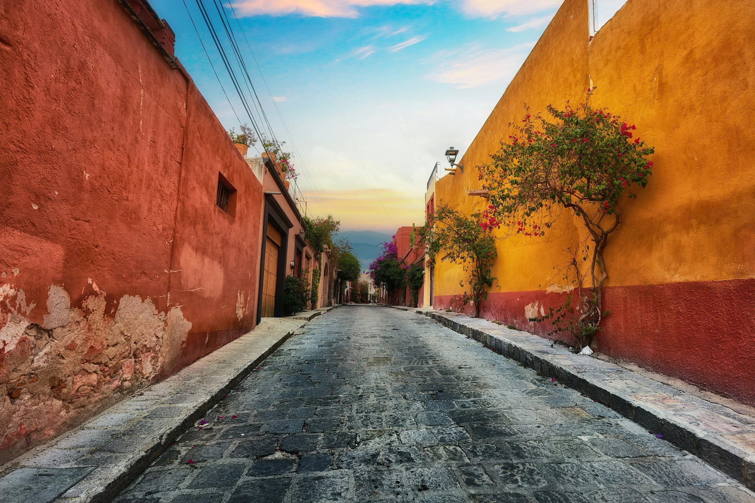 Empty cobblestone street lined with colorful buildings and flowering trees during sunset.