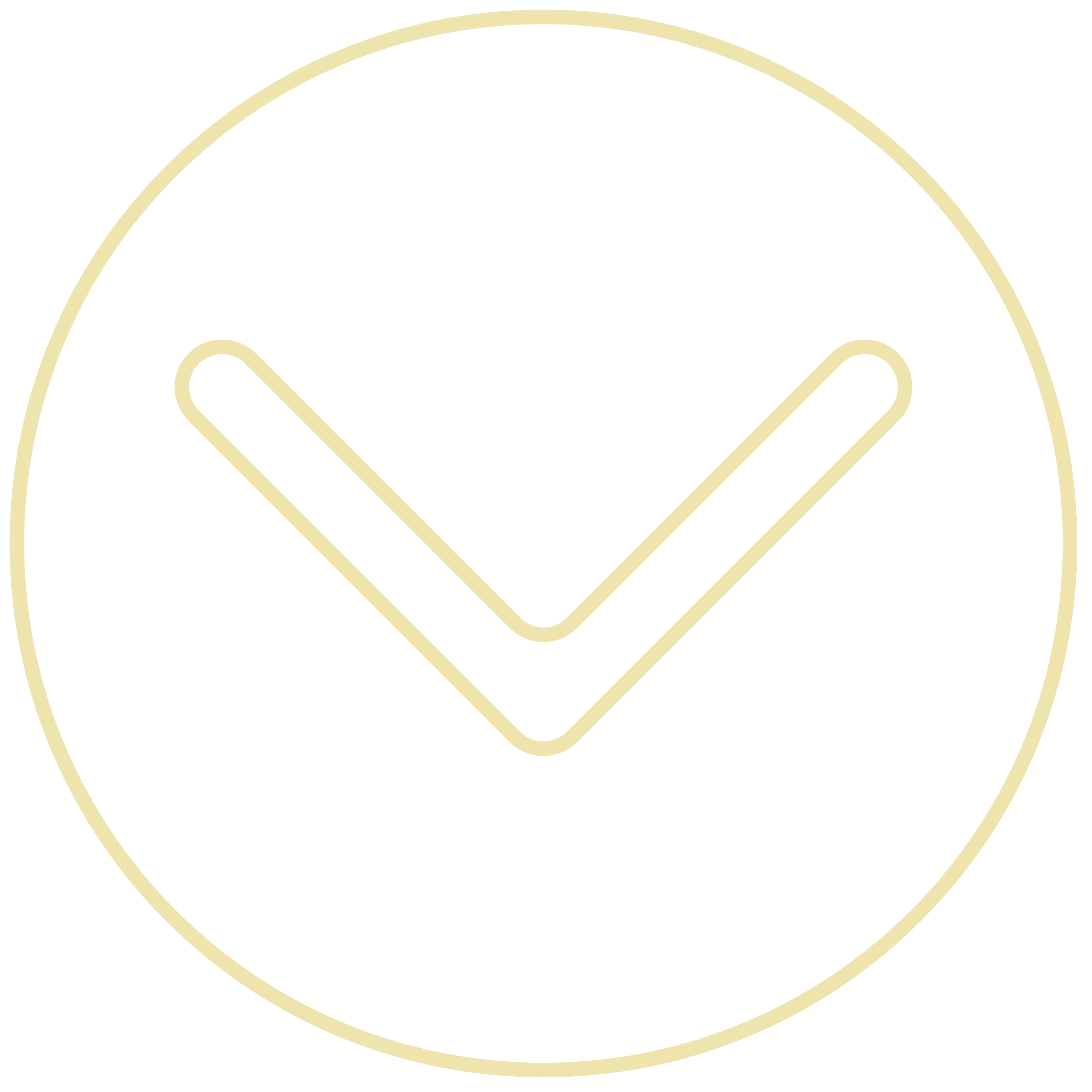 Icon of checkmark inside a circle.