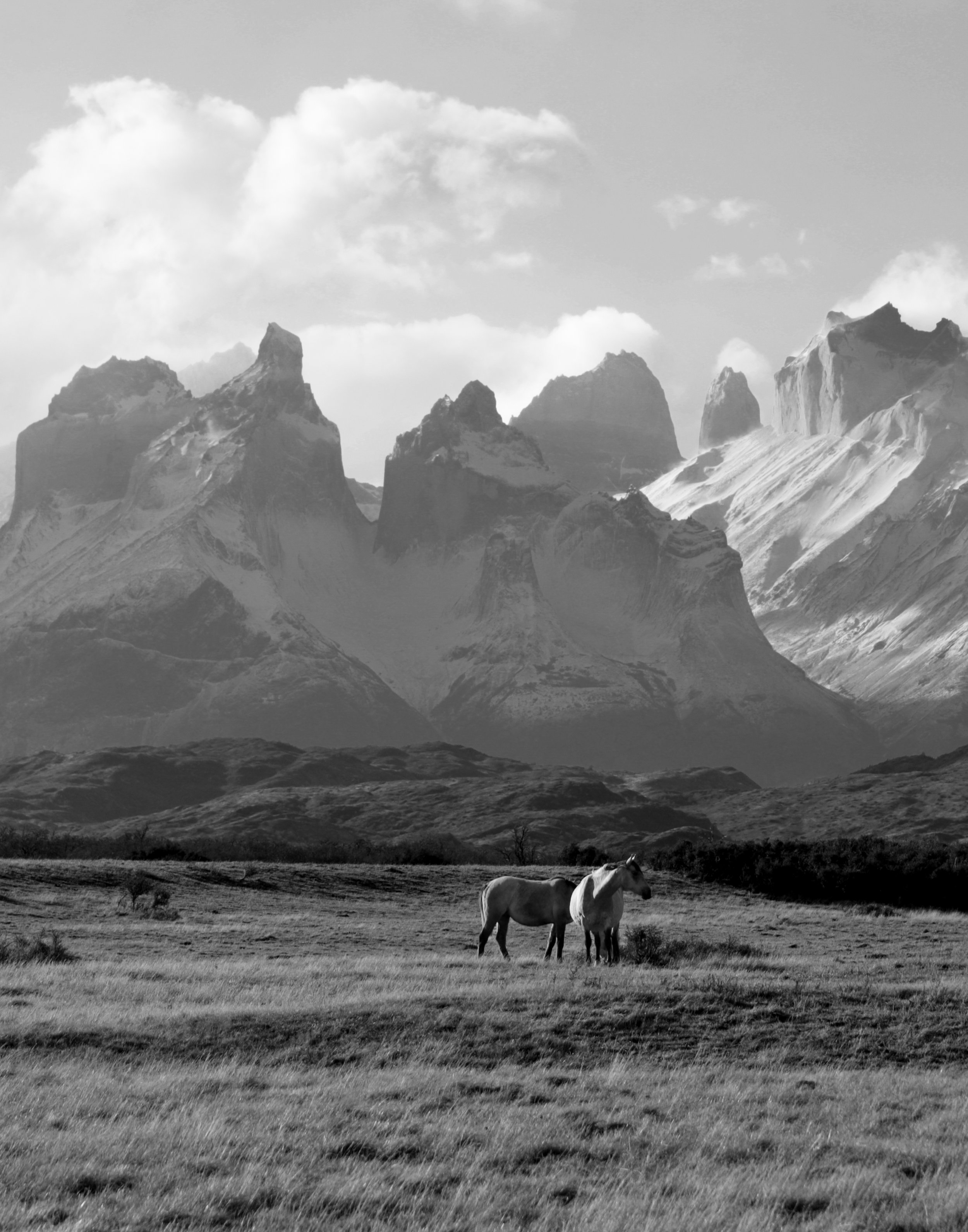 Black and white photo of three horses grazing in a grassy field with mountains in the background under a partly cloudy sky.