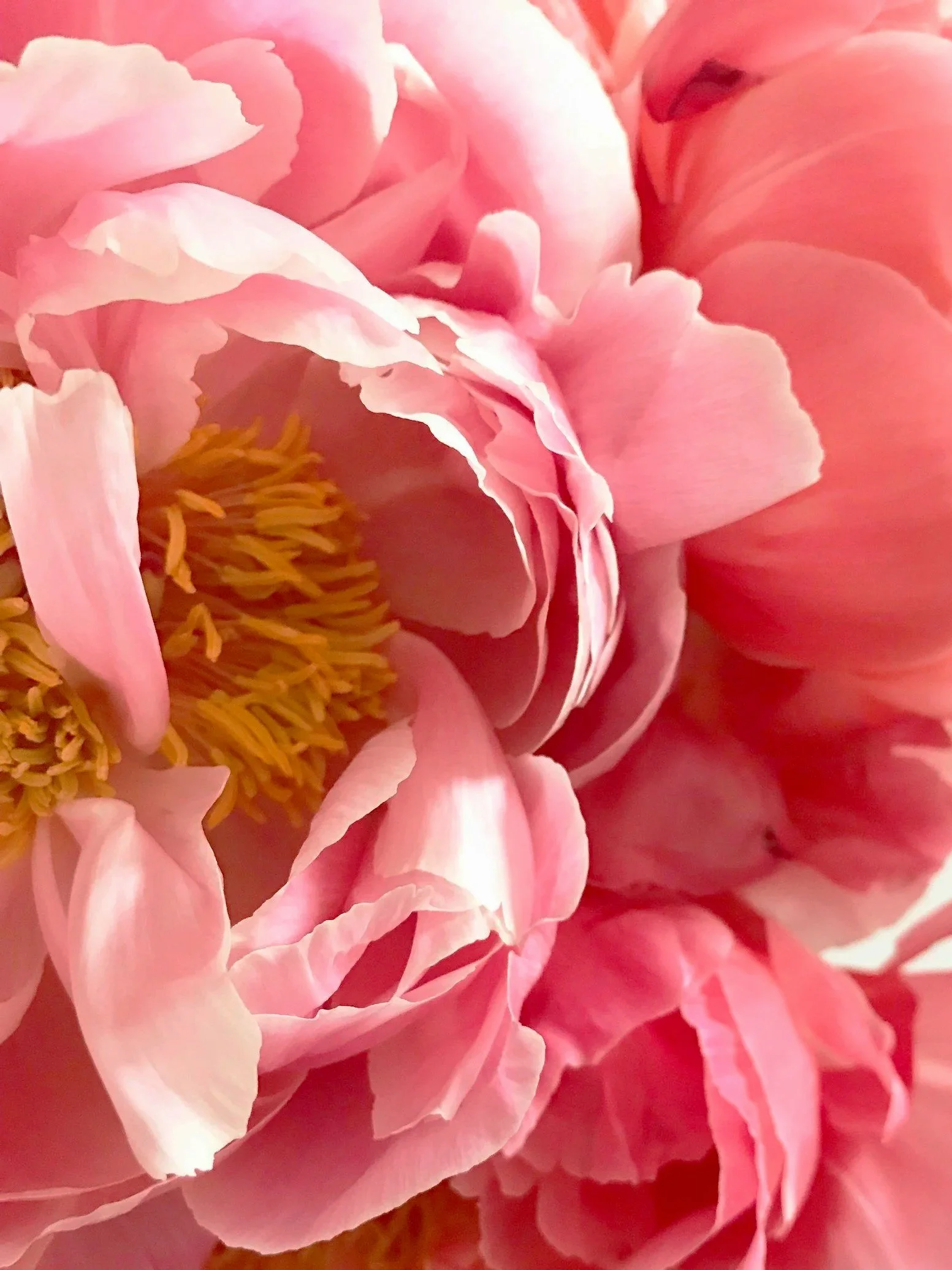 When Life Moves With You