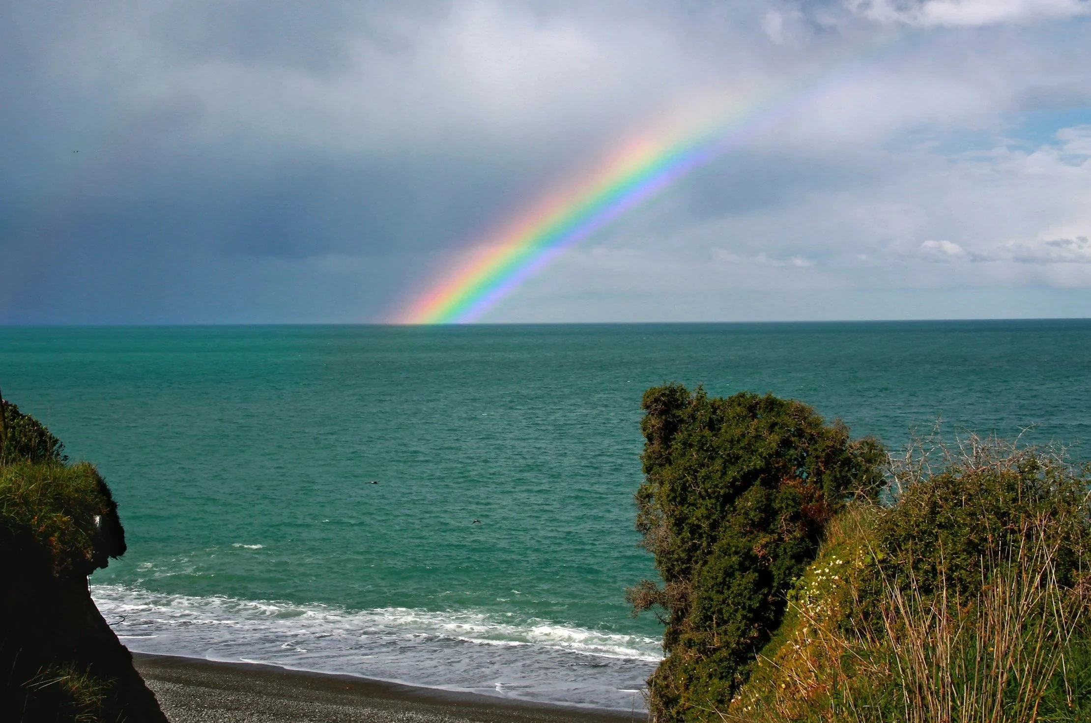 What Alignment Looks Like IRL