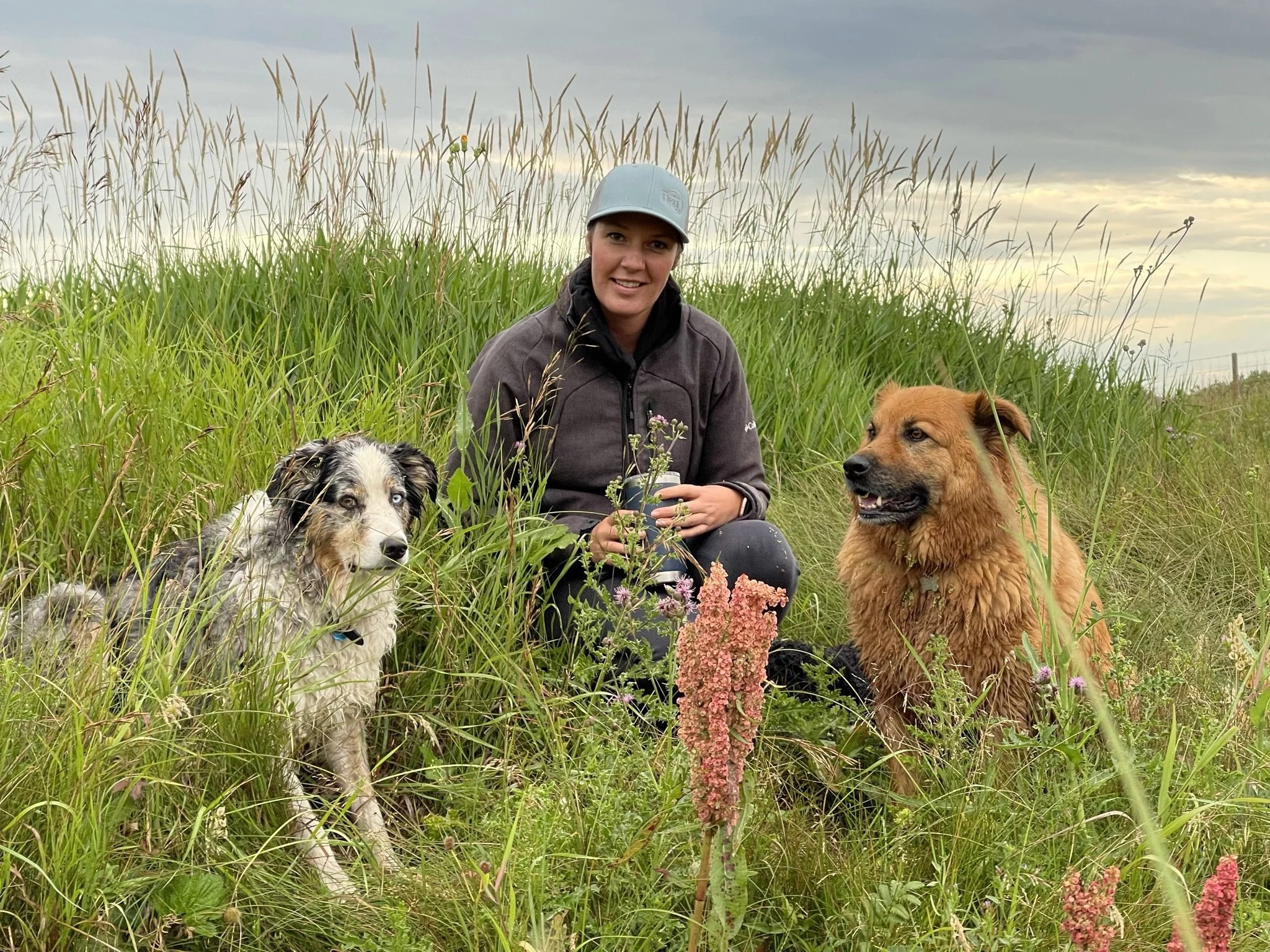 A woman sitting in tall grass with two dogs, one a black and white Australian Shepherd and the other a golden-colored medium-sized dog, outdoors during cloudy weather.
