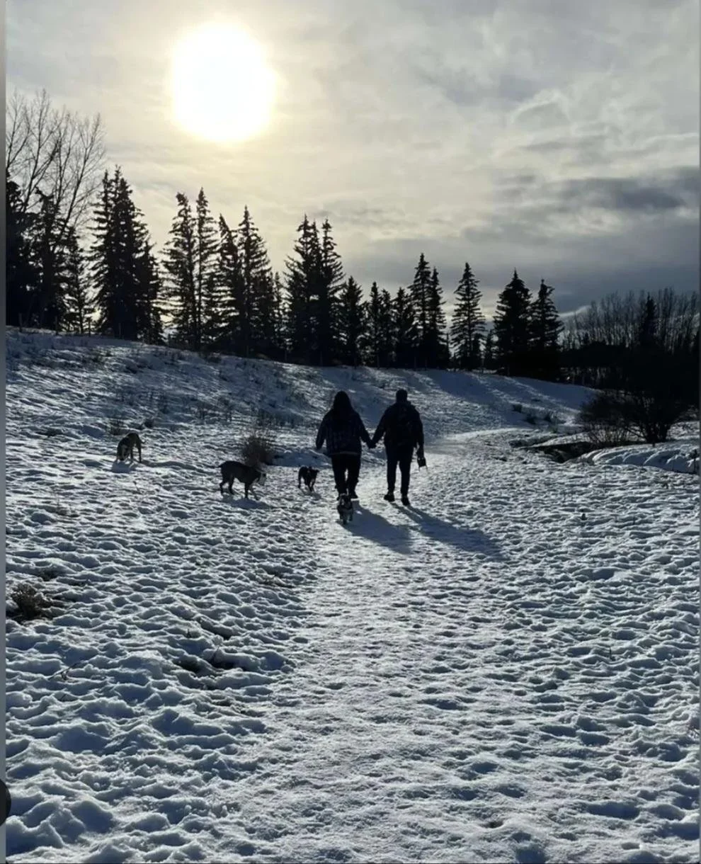 A couple walking in the snow on a trail with four dogs, surrounded by snow-covered trees and a cloudy sky with the sun visible.