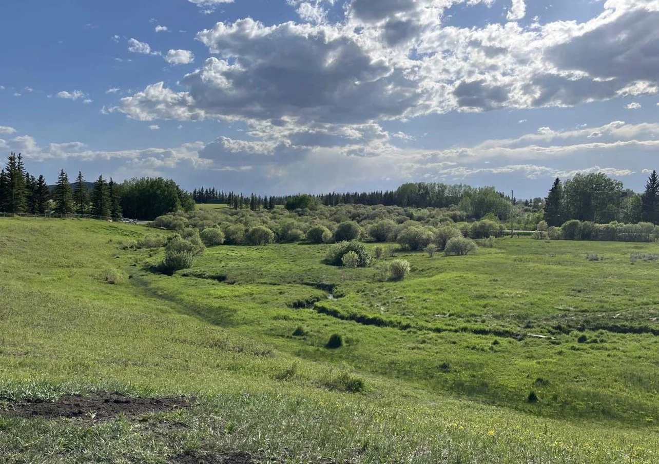 Open grassy landscape with green rolling fields, scattered shrubs, a line of trees in the distance, and a partly cloudy sky overhead.