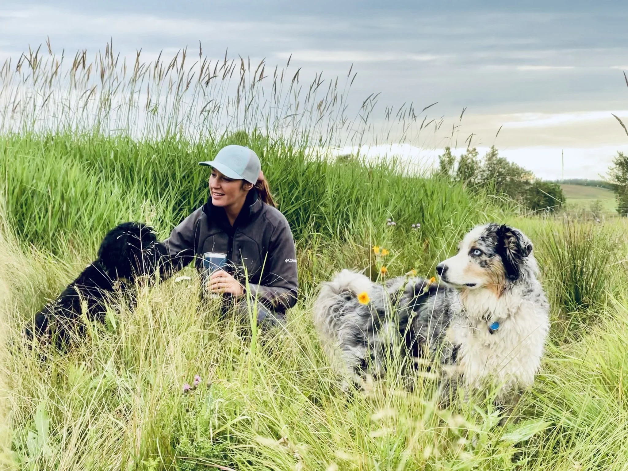 A woman wearing a gray cap and a dark jacket sitting in a grassy field with two Australian Shepherd dogs, one black and white and the other merle, surrounded by tall green grass and wildflowers, under a cloudy sky.