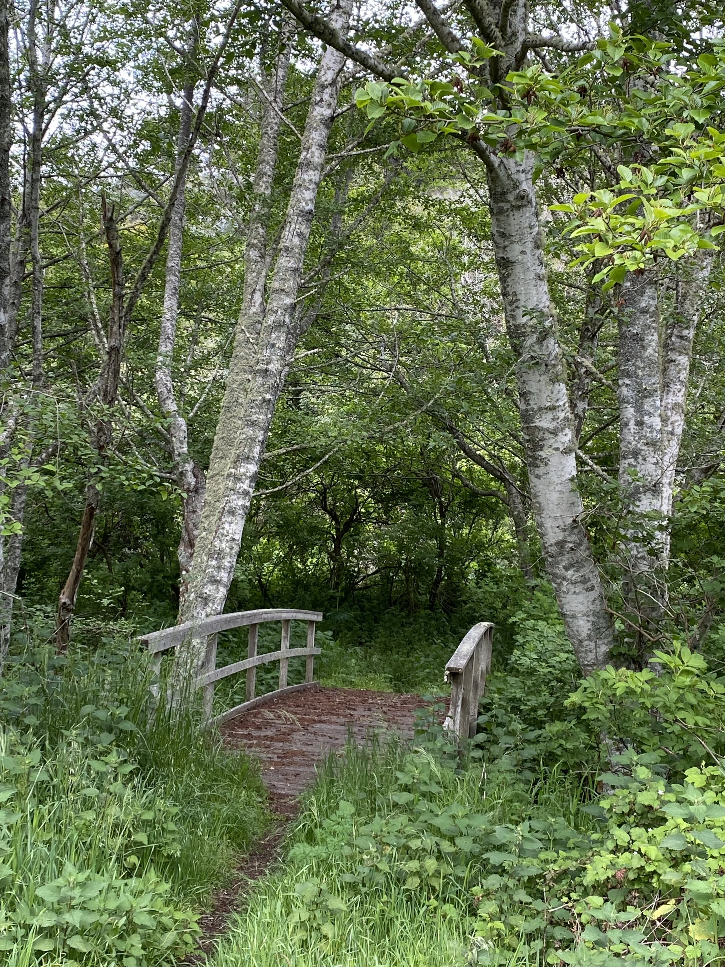 The Wild Places that Fill My Heart