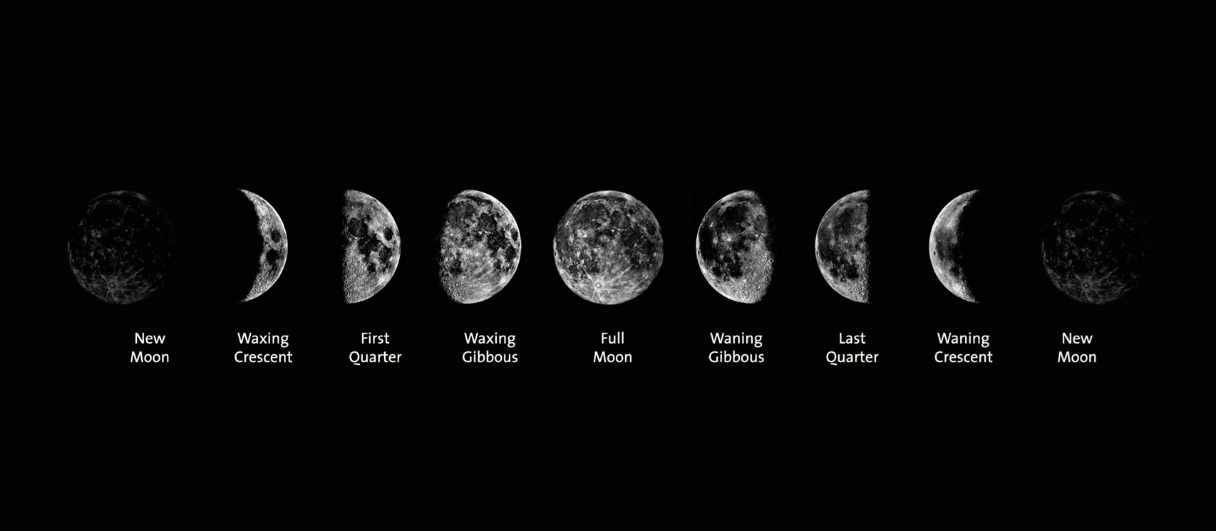 Sequence of moon phases from New Moon to New Moon, including waxing crescent, first quarter, waxing gibbous, full moon, waning gibbous, last quarter, waning crescent.