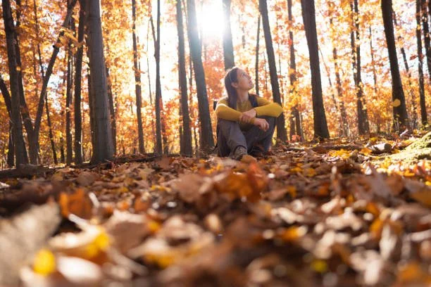 Detox, let go, integrate, pillar ninth of human evolution