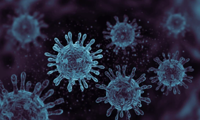 Classical homeopathic theory applied to pandemic‑era symptom patterns