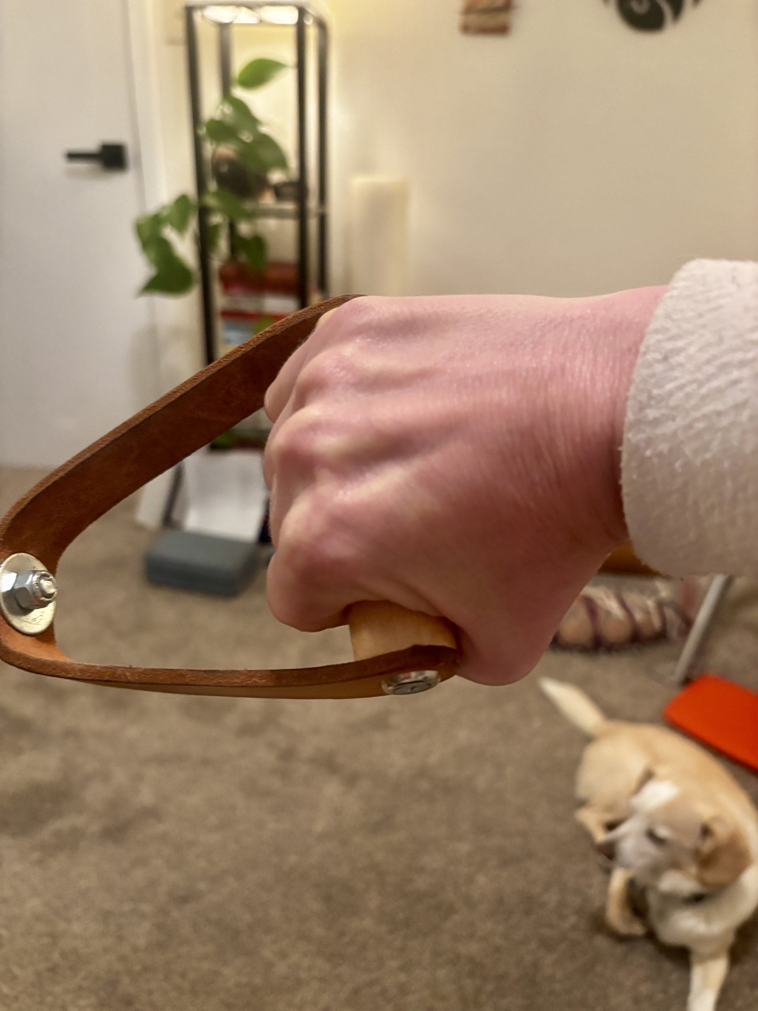 The Diaphragm and Pelvic Floor Connection in Pilates