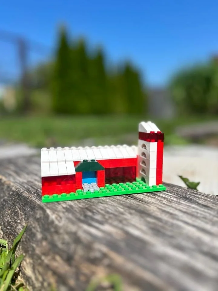 Lego house with a red and white color scheme, a small green door, and a tall white and red tower, placed outdoors on a weathered wooden surface with trees and blue sky in the background.