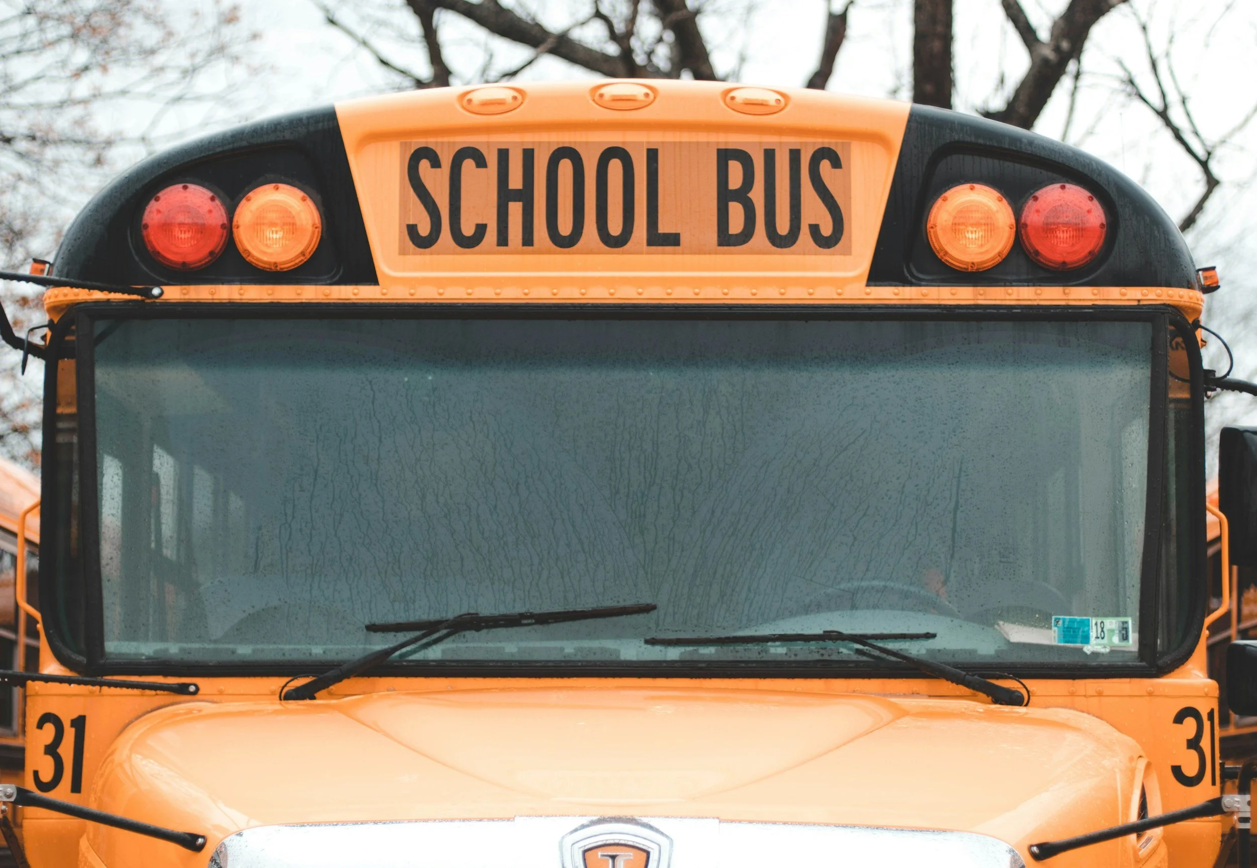 Close-up of the front of a yellow school bus with a sign that reads 'SCHOOL BUS' on top, with trees in the background.